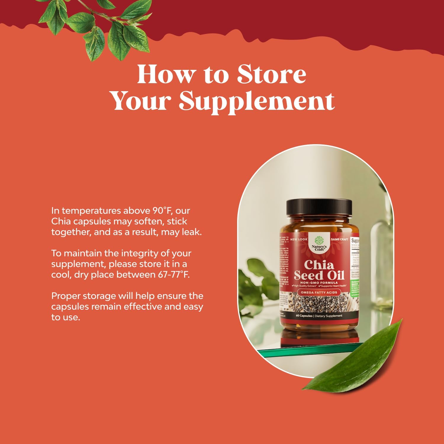 Plant Based Chia Seed Oil Extract Capsules for Digestive Support, Immunity, and Heart Health - Omega 3 6 9 Fatty Acids Supplement for Men and Women
