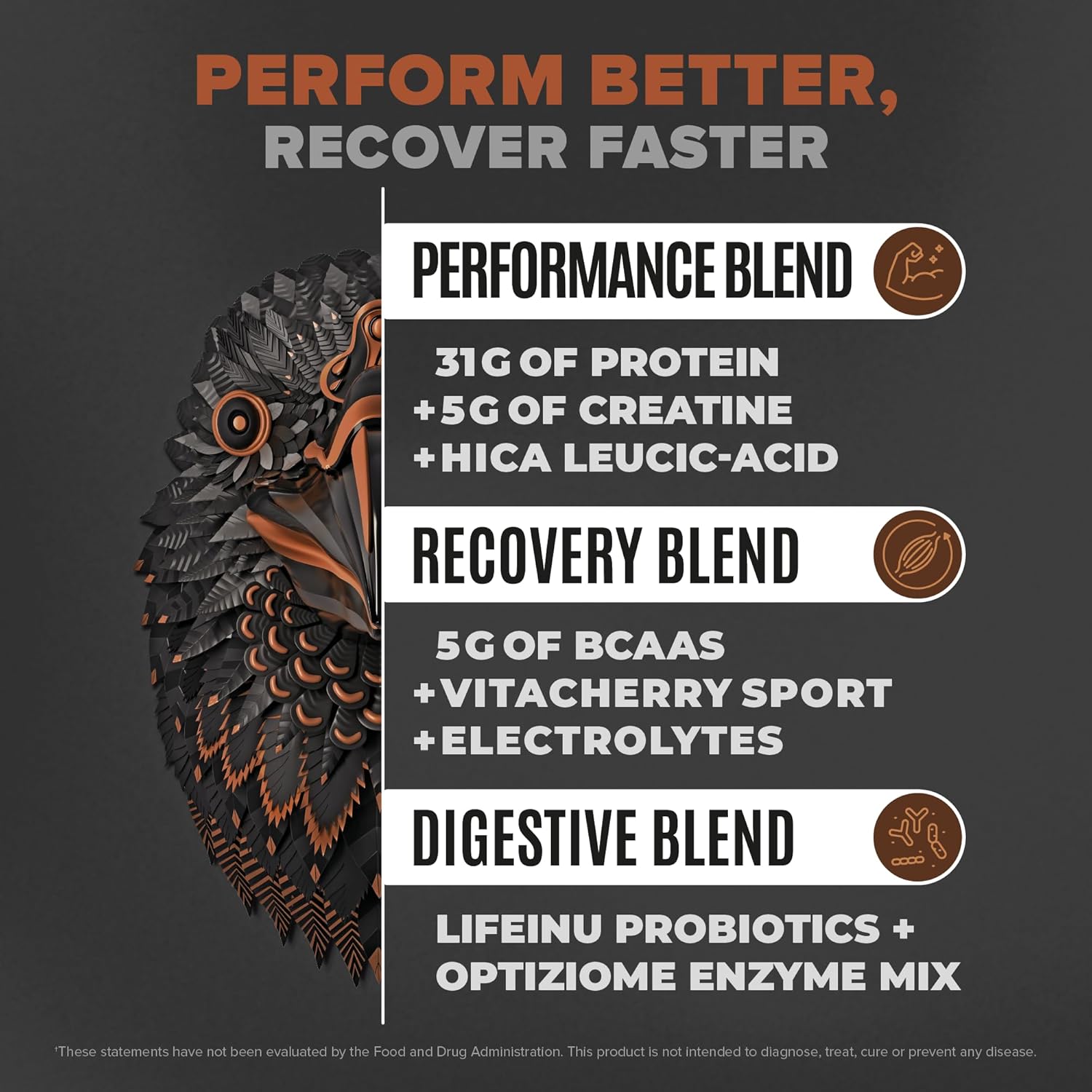 Plant Based Chocolate Protein Powder with 31g Protein, 5g Creatine, BCAA, Probiotics, and Electrolytes - Vegan Pre Workout Supplement for Muscle Growth, Low Carb, and Sugar Free - 28 Servings