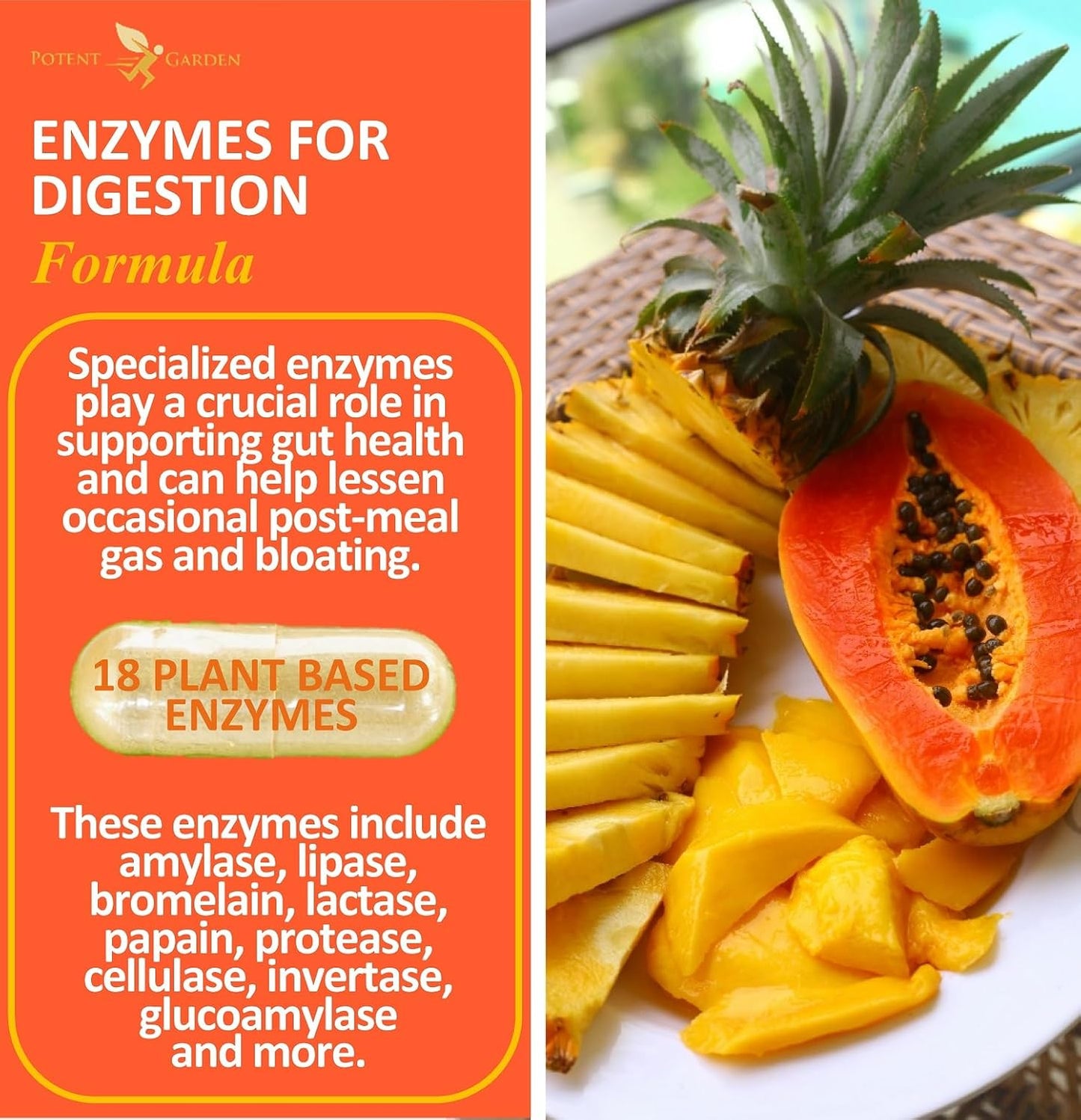 Plant Based Digestive Enzymes - 18 Enzymes for Healthy Digestion - Supports Nutrient Absorption - 60 Capsules