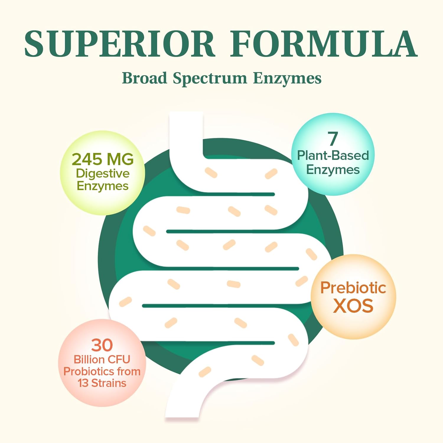 Plant-Based Digestive Enzymes with Probiotics for Digestive Health - 60 Vegan Capsules