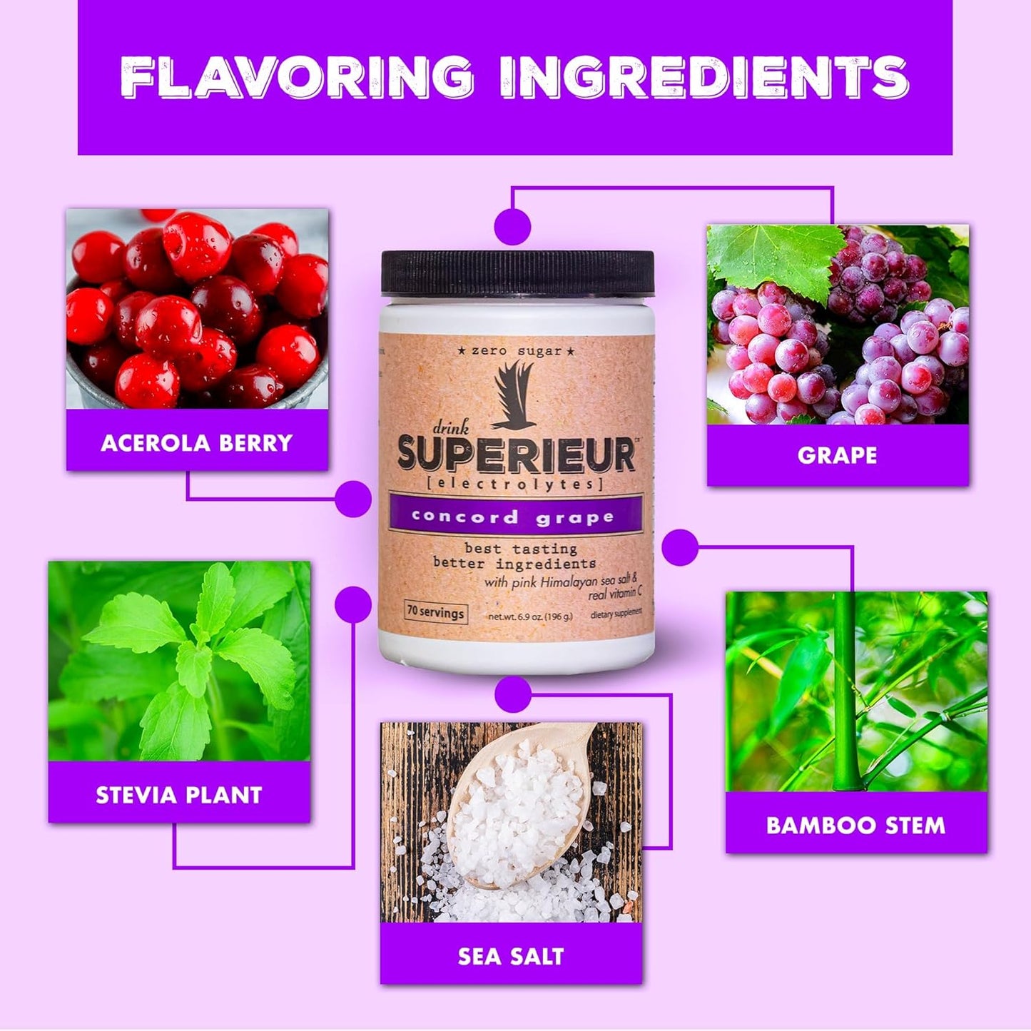 Plant Based Electrolyte Supplement with Sea Minerals for Hydration & Recovery - Keto Friendly, Non-GMO, Vegan Sports Drink Powder - Concord Grape Flavor (70 Servings)