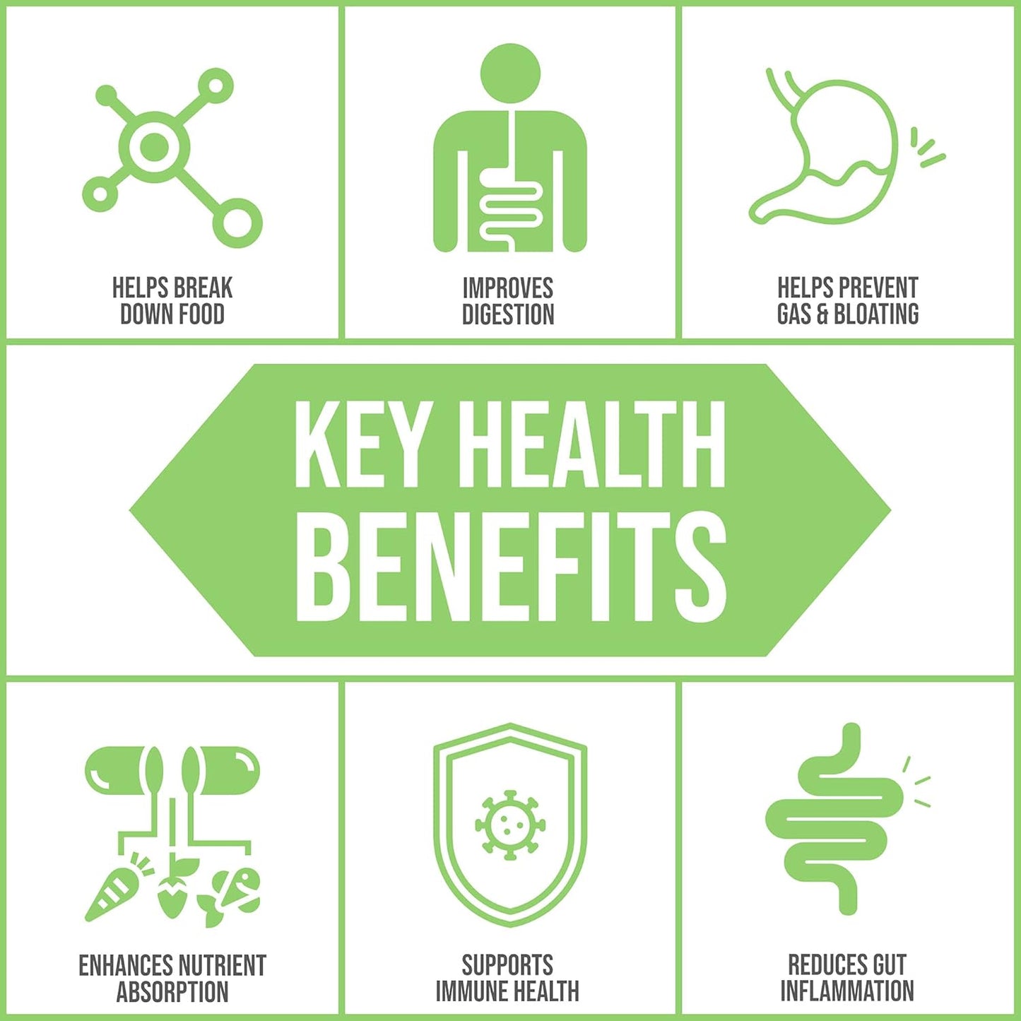 Plant-Based Full Spectrum Enzymes | Digestive Enzyme Supplement for Healthy Digestion | 90 Vegetarian Capsules | Body Ecology Assist