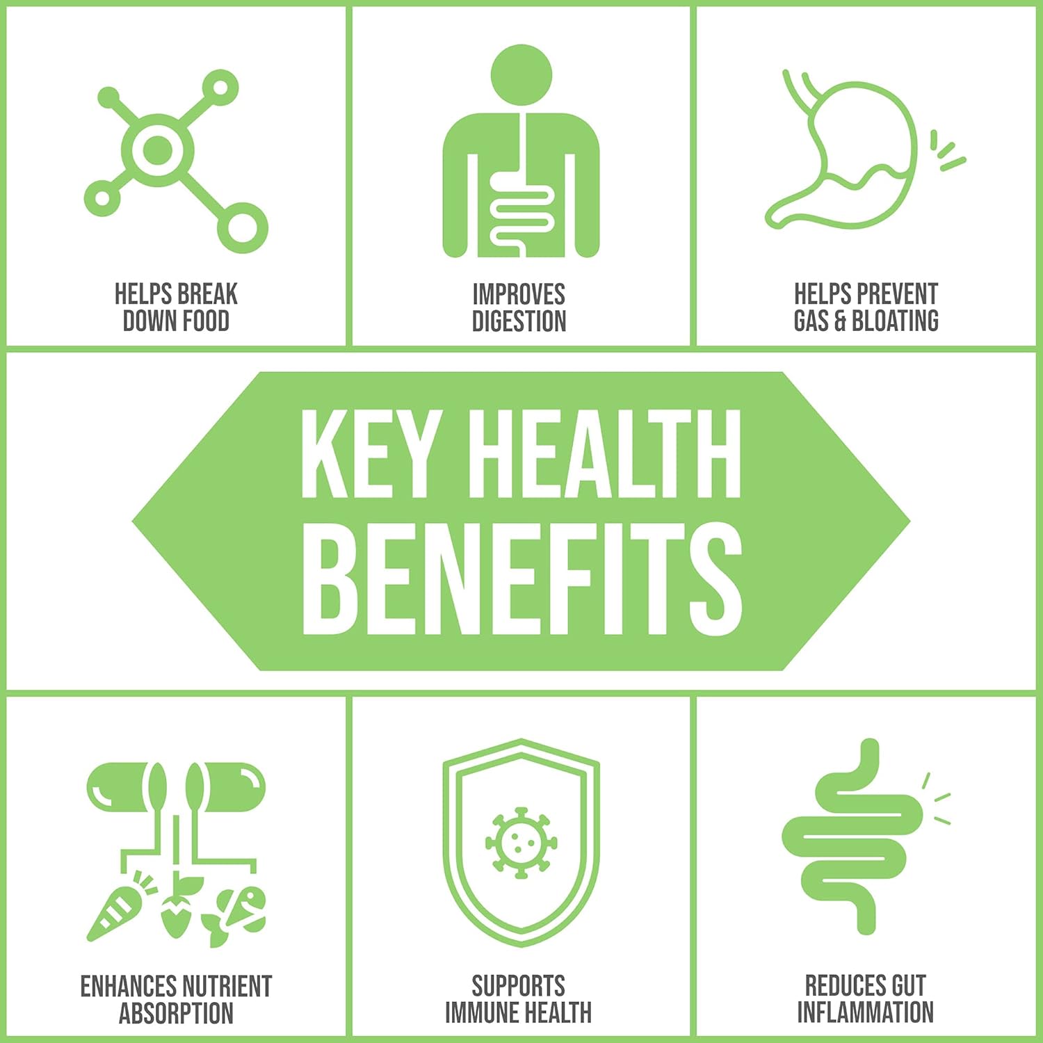 Plant-Based Full Spectrum Enzymes | Digestive Enzyme Supplement for Healthy Digestion | 90 Vegetarian Capsules | Body Ecology Assist