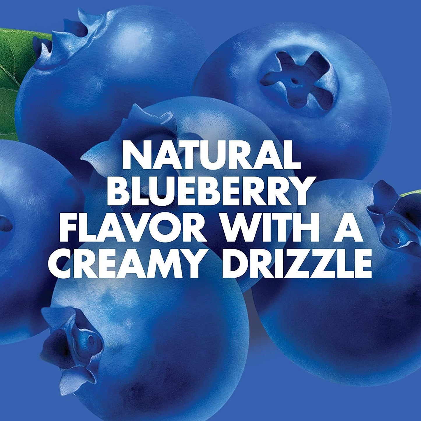 Plant-Based Gluten Free Blueberry Bliss Snack Bars - 7g Protein, Non-GMO, On the Go Snacks - 15 Count (1.69 oz Bars)