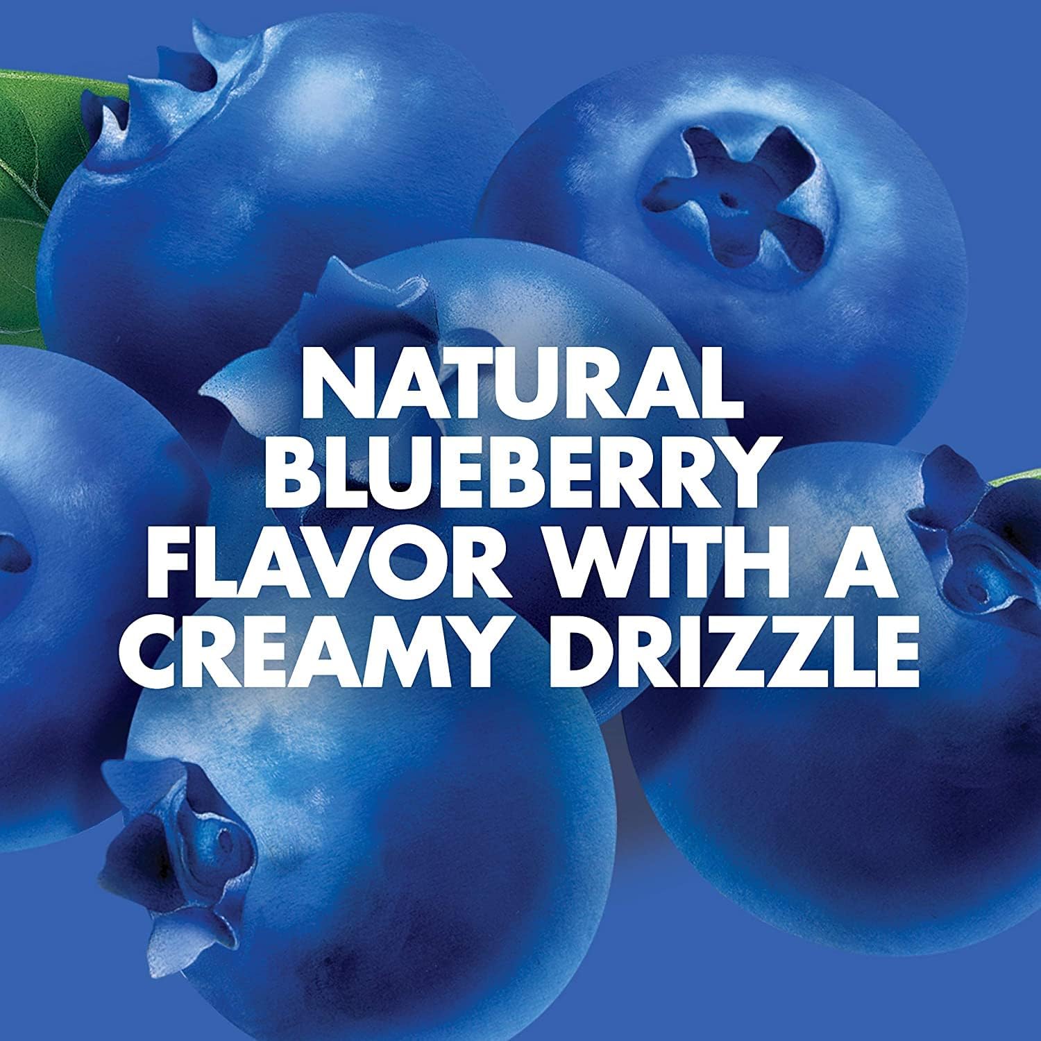 Plant-Based Gluten Free Blueberry Bliss Snack Bars - 7g Protein, Non-GMO, On the Go Snacks - 15 Count (1.69 oz Bars)