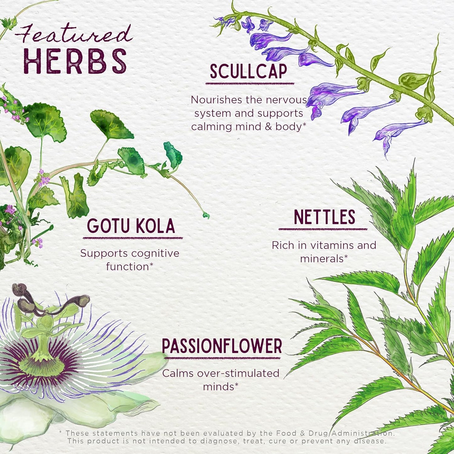 Plant-Based Herbal Supplement for Focus, Attention, and Calm - Boost Neural Messaging and Brain Function with Gotu Kola, Nettle, and Passionflower - 2oz - BoostGo Australia