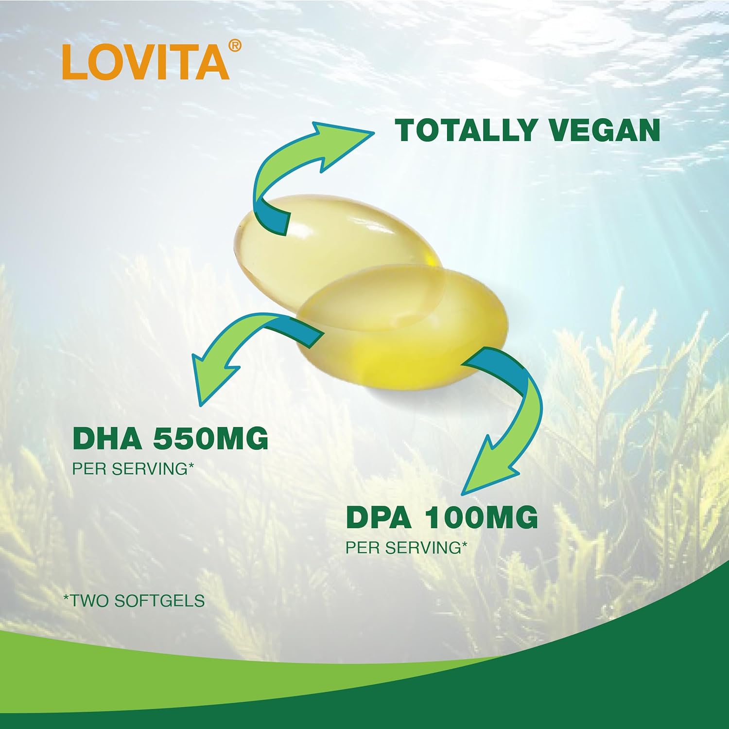 Plant-Based Lovita Algae Omega-3 Softgels - 1000mg DHA & DPA, Vegan Fish Oil Alternative for Heart & Brain Health - 90 Carrageen-Free Capsules