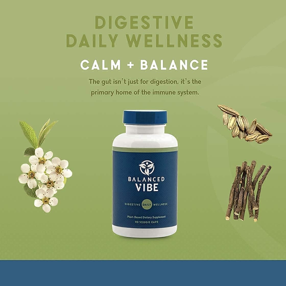Plant-Based Memory, Focus, and Gut Health Supplement with 90 Capsules - Balanced Vibe Brain+Gut Health Axis for Inflammation Response