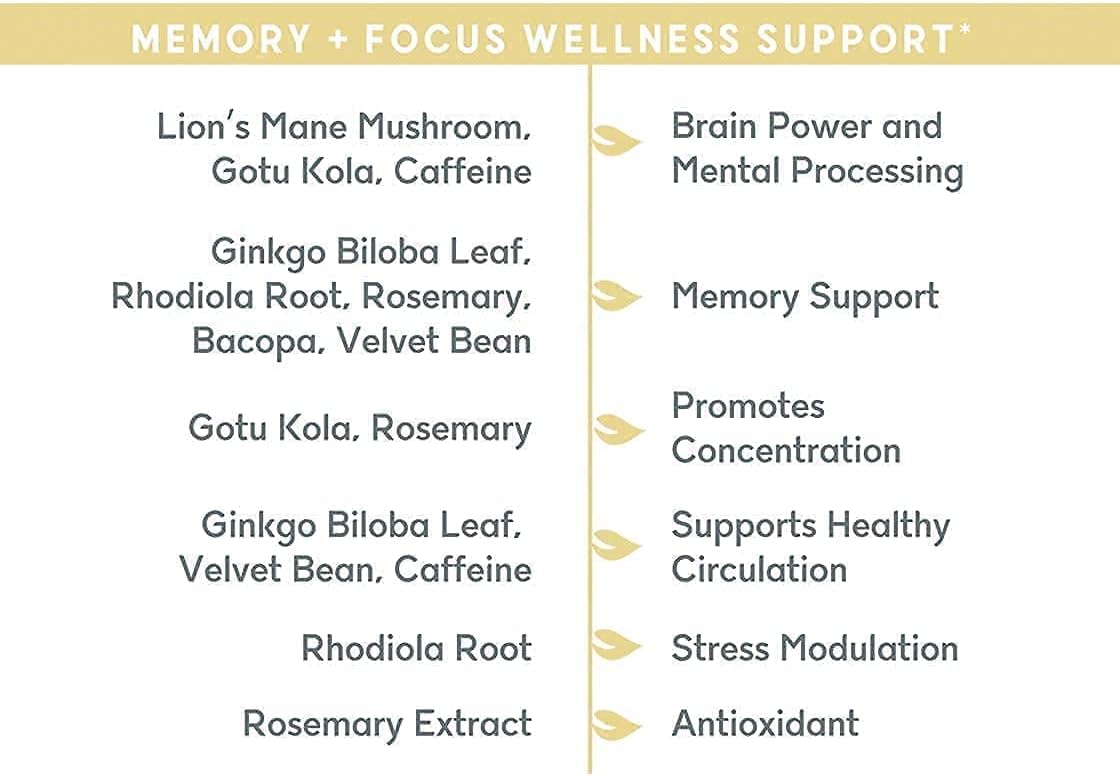 Plant-Based Memory, Focus, and Gut Health Supplement with 90 Capsules - Balanced Vibe Brain+Gut Health Axis for Inflammation Response