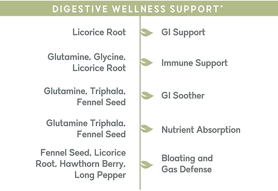 Plant-Based Memory, Focus, and Gut Health Supplement with 90 Capsules - Balanced Vibe Brain+Gut Health Axis for Inflammation Response