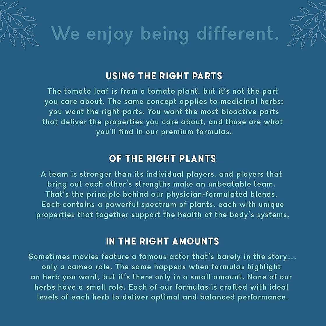 Plant-Based Memory, Focus, and Gut Health Supplement with 90 Capsules - Balanced Vibe Brain+Gut Health Axis for Inflammation Response