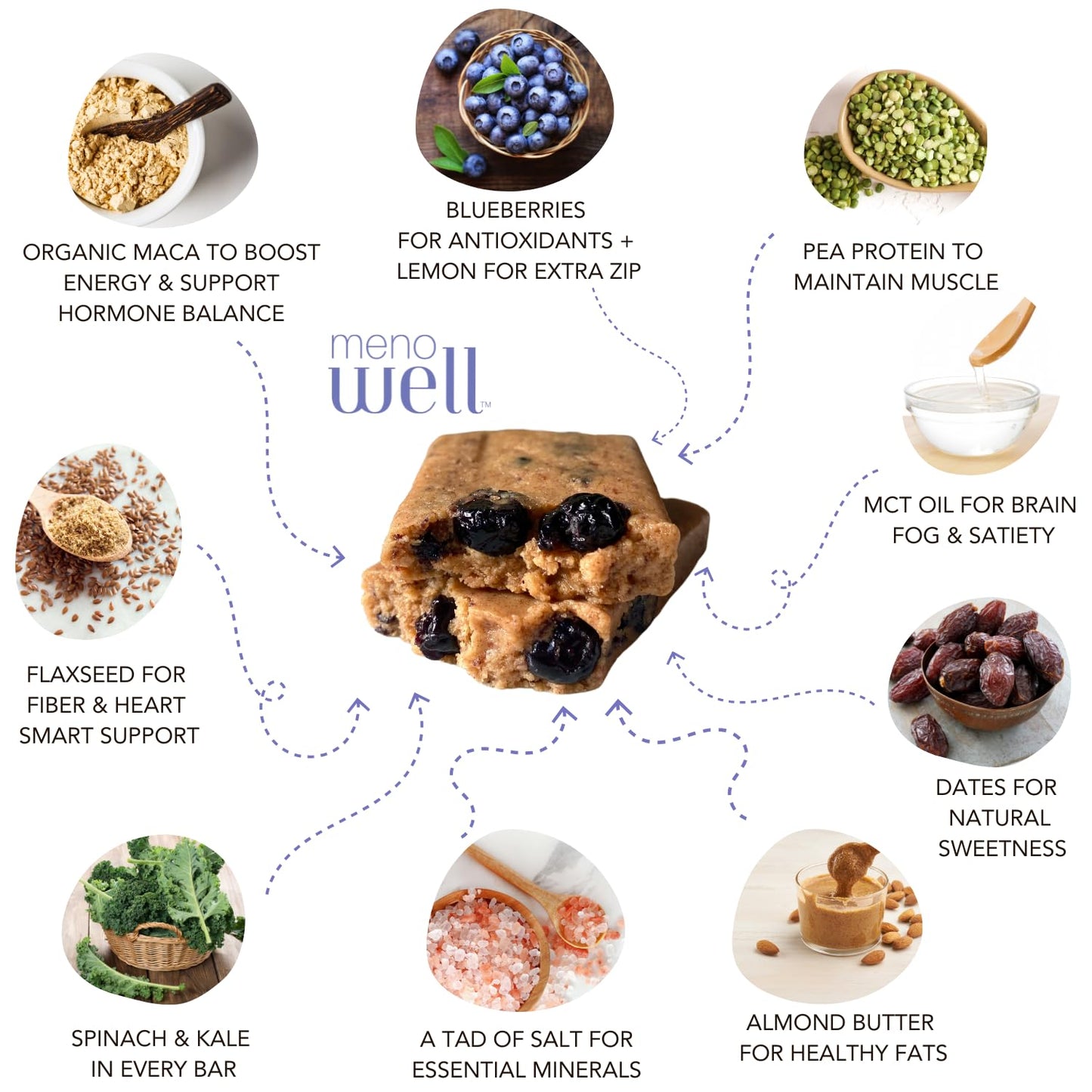 Plant-Based Menopause Protein Bars for Women - Fresh Blueberry Lemon Flavor with 25% Daily Fiber, 7g Protein, Weight Management Support, Low Sugar - 10 Count