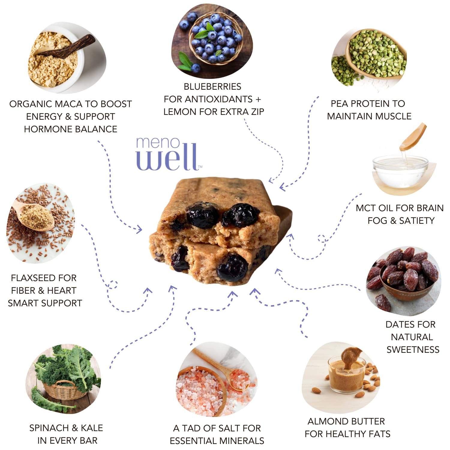 Plant-Based Menopause Protein Bars for Women - Fresh Blueberry Lemon Flavor with 25% Daily Fiber, 7g Protein, Weight Management Support, Low Sugar - 10 Count