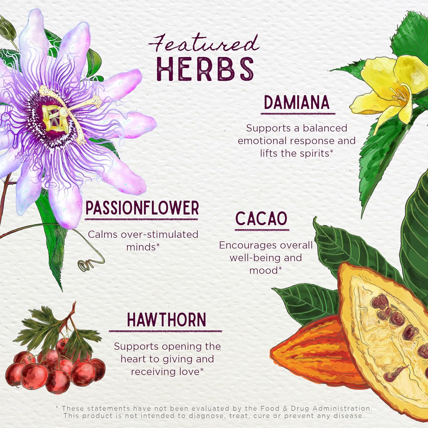 Plant-Based Mood Support Supplement with Organic Cacao - Natural Mood Booster with Passionflower for Increased Connection - 2oz Liquid Bliss Mood Elevator by WishGarden Herbs - BoostGo Australia