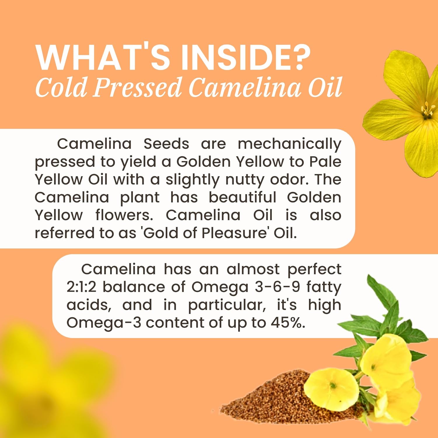 Plant Based Omega 3-6-7-9 Fatty Acid Softgels - Supports Brain, Liver, Cardiovascular Health - 3 Pack