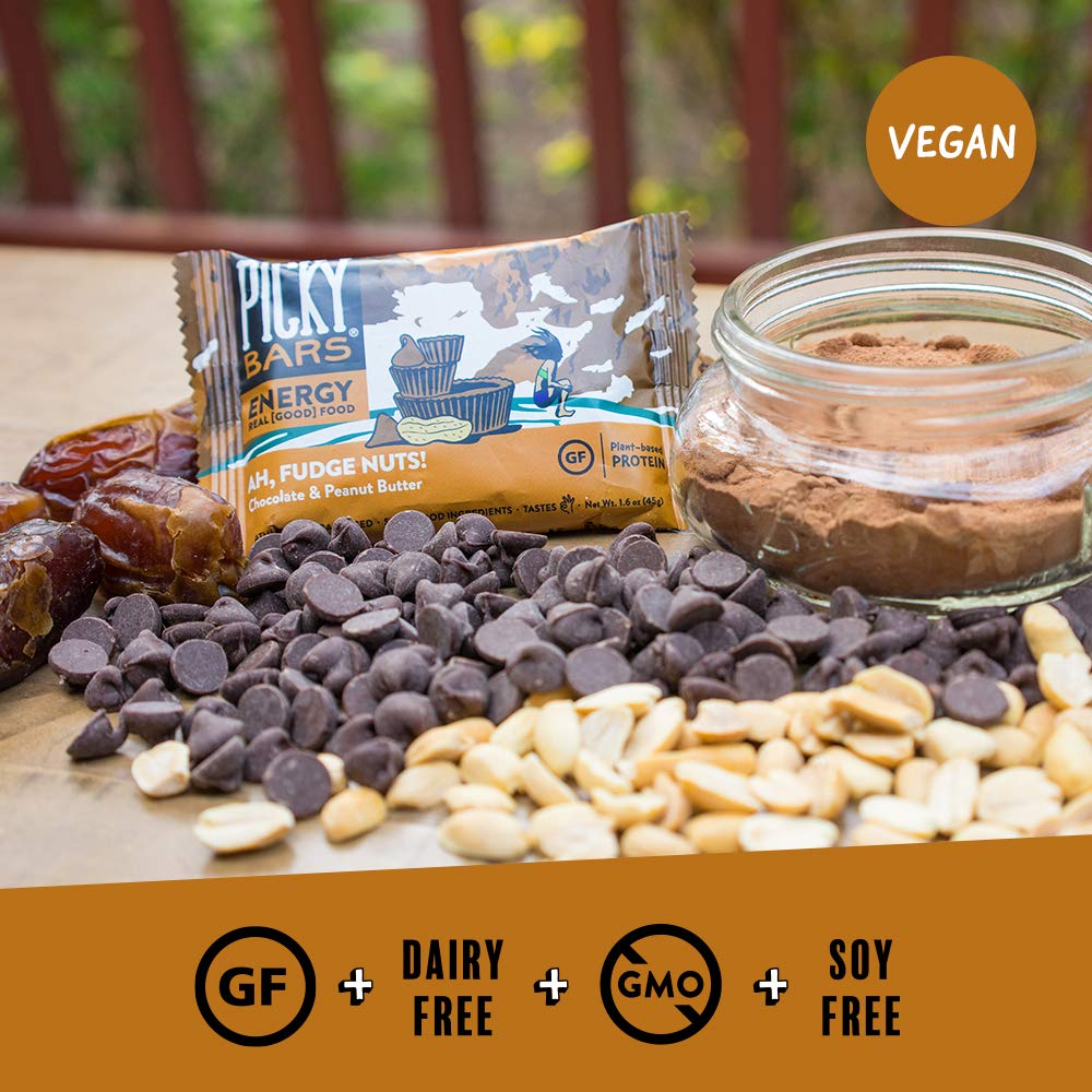 Plant Based Protein Energy Bars, All-Natural & Gluten Free, Non-GMO & Dairy-Free, Ah, Fudge Nuts, Pack of 10