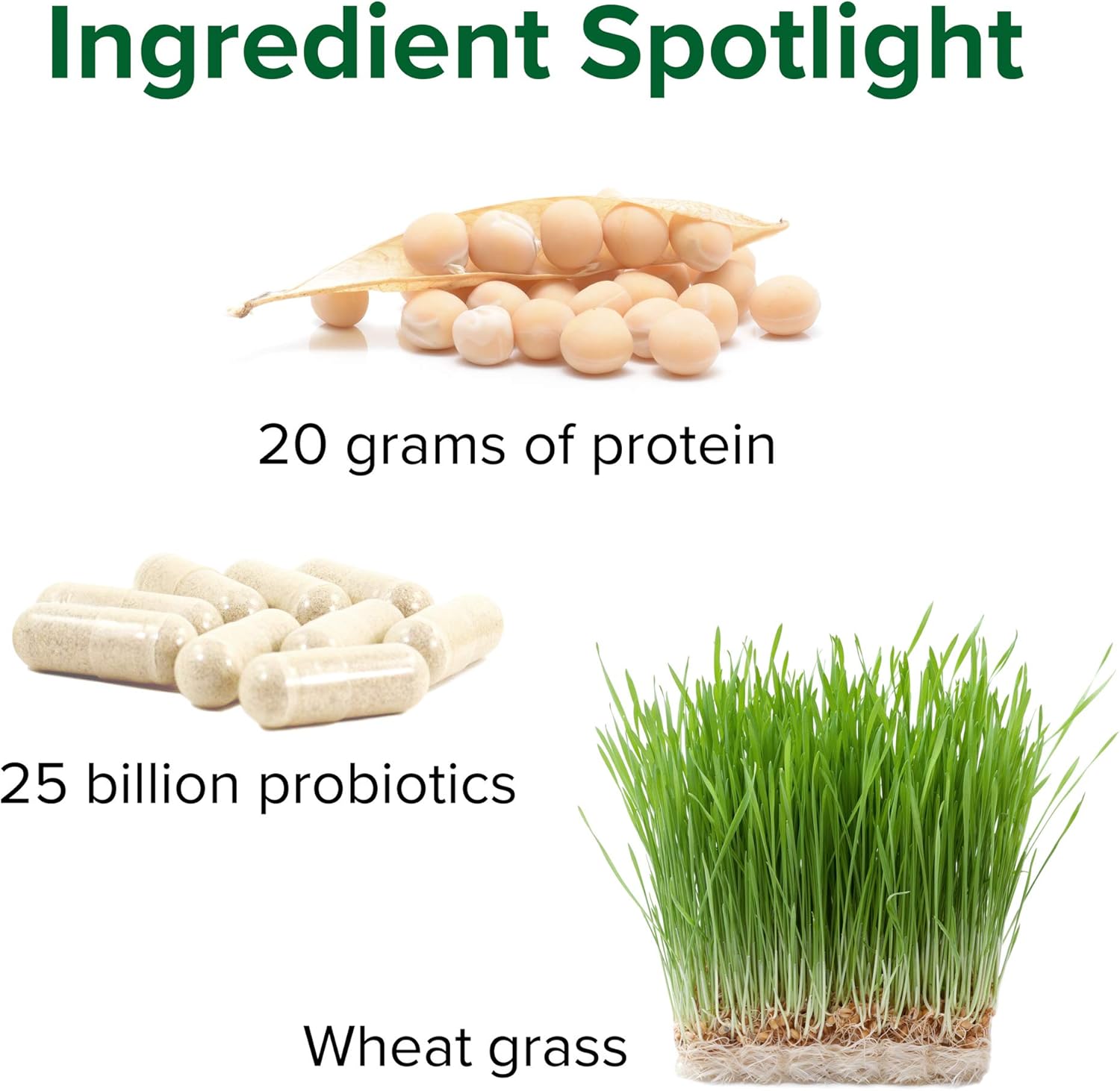 Plant-Based Protein Shake: Maximum Vibrance Vegan Meal Replacement, Chocolate Chunk - 15 Servings for Vibrant Health