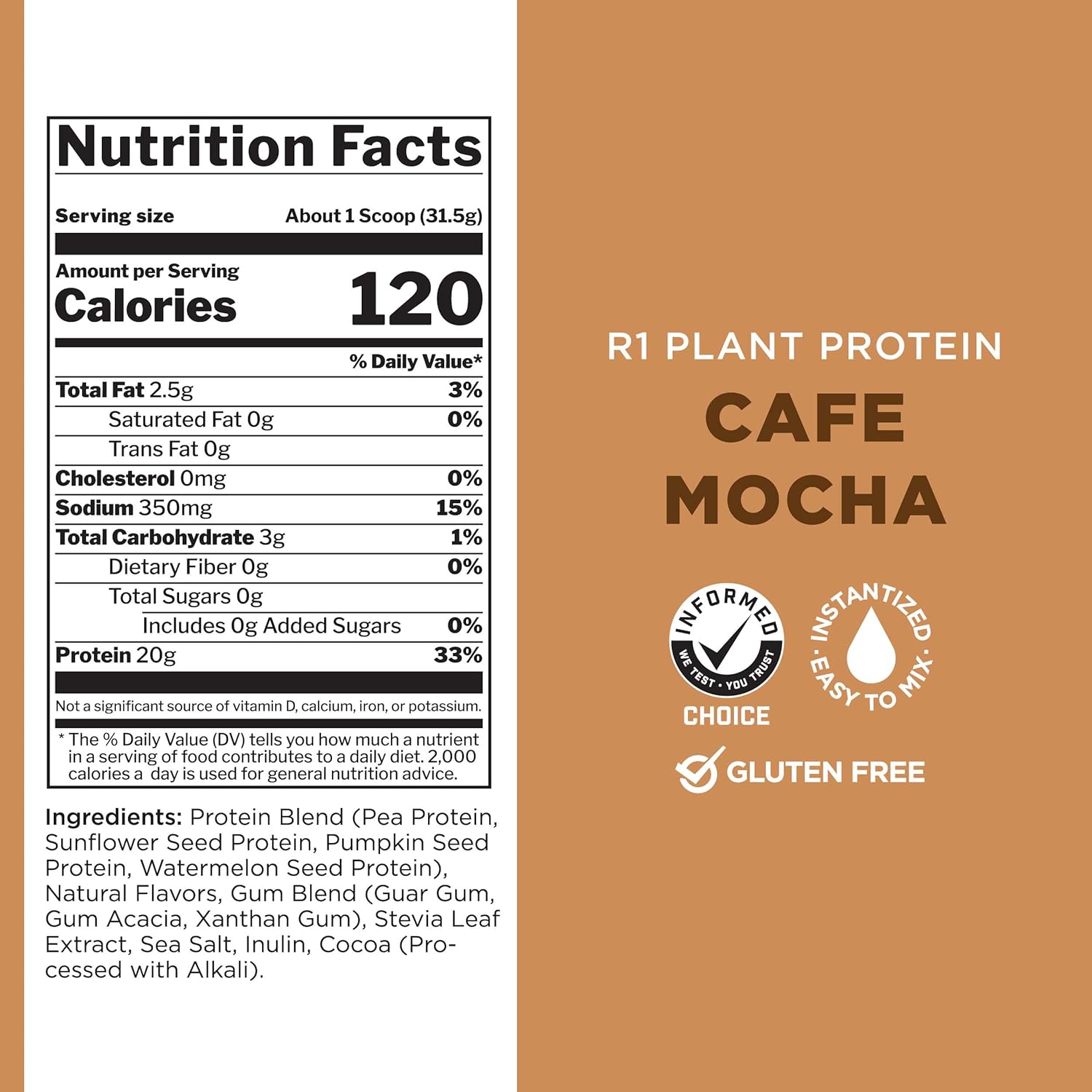 Plant-Based Rule 1 Proteins Café Mocha Protein Powder - Vegan, Gluten-Free, Dairy-Free, Soy-Free with 20g Protein per Serving (20 Servings)