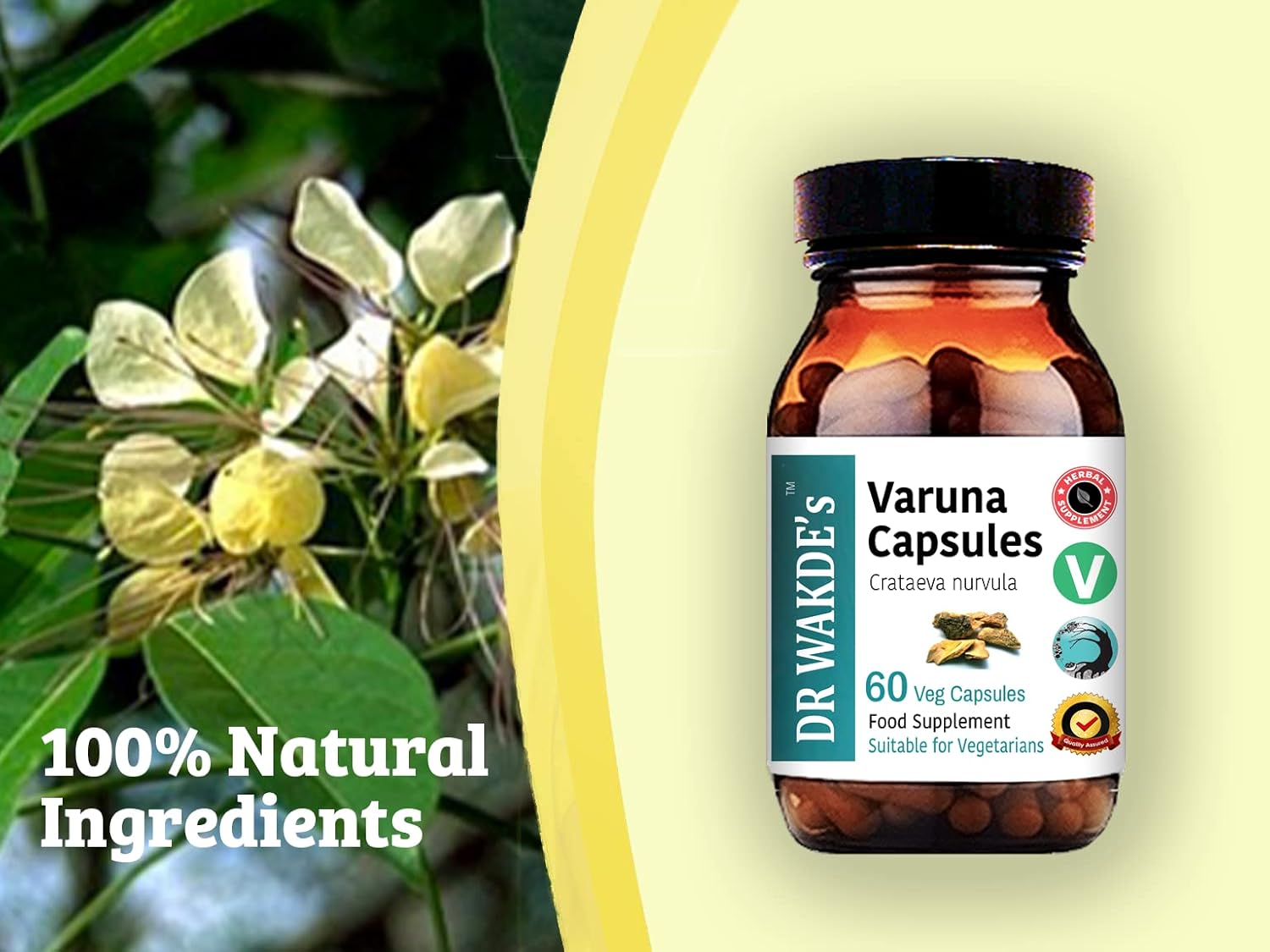 Plant-Based Varuna Capsules - Ayurvedic Crataeva nurvula Supplement with 60 Veg Caps, Vegan & All Natural