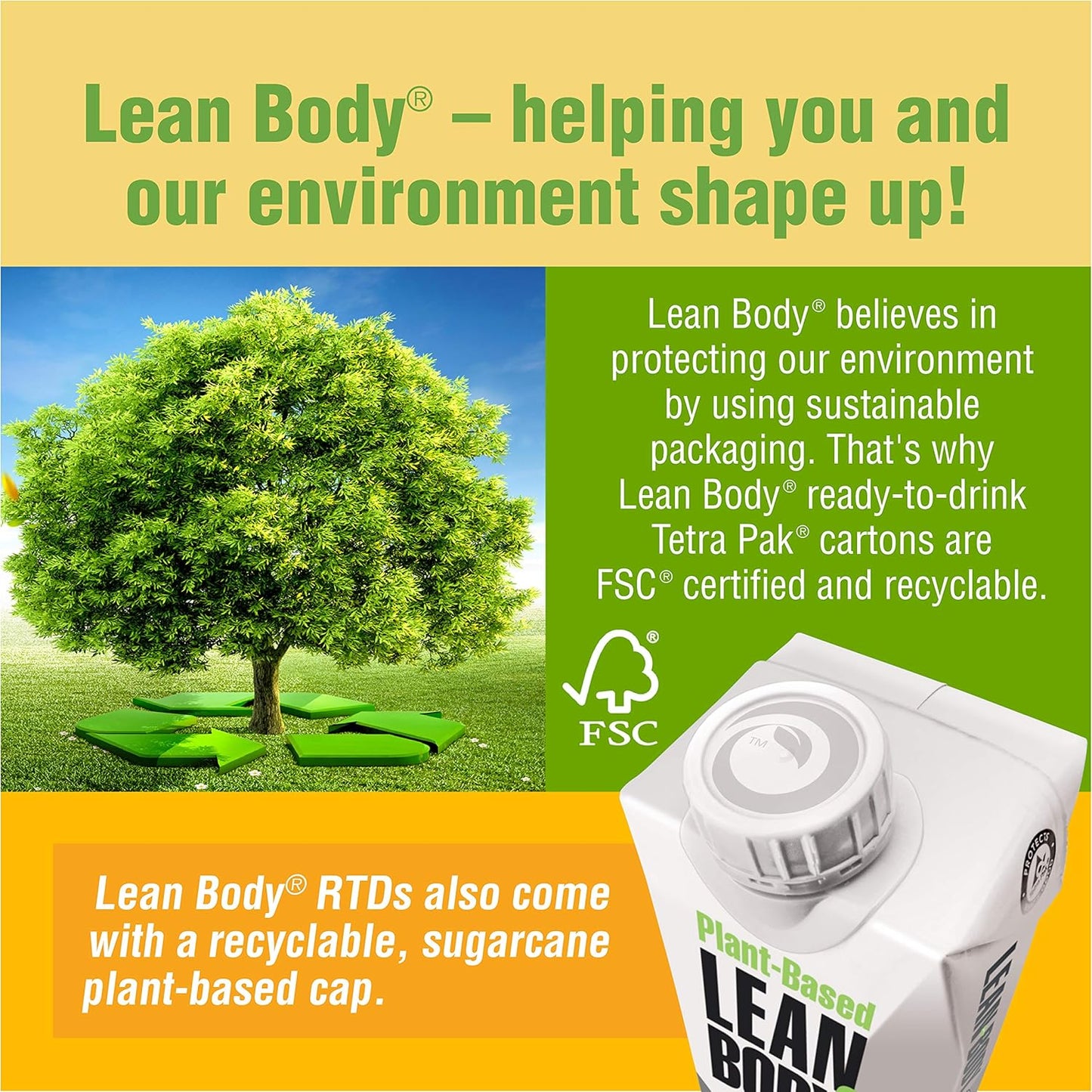 Plant-Based Vegan Chocolate Protein Shake, 30g Protein, No Artificial Ingredients, Non GMO, Gluten Free - Pack of 12