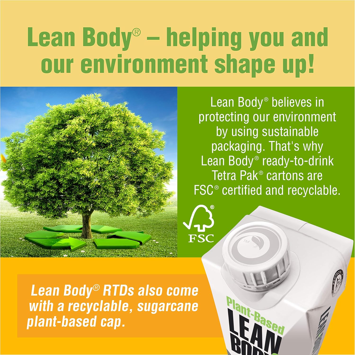 Plant-Based Vegan Chocolate Protein Shake, 30g Protein, No Artificial Ingredients, Non GMO, Gluten Free - Pack of 12