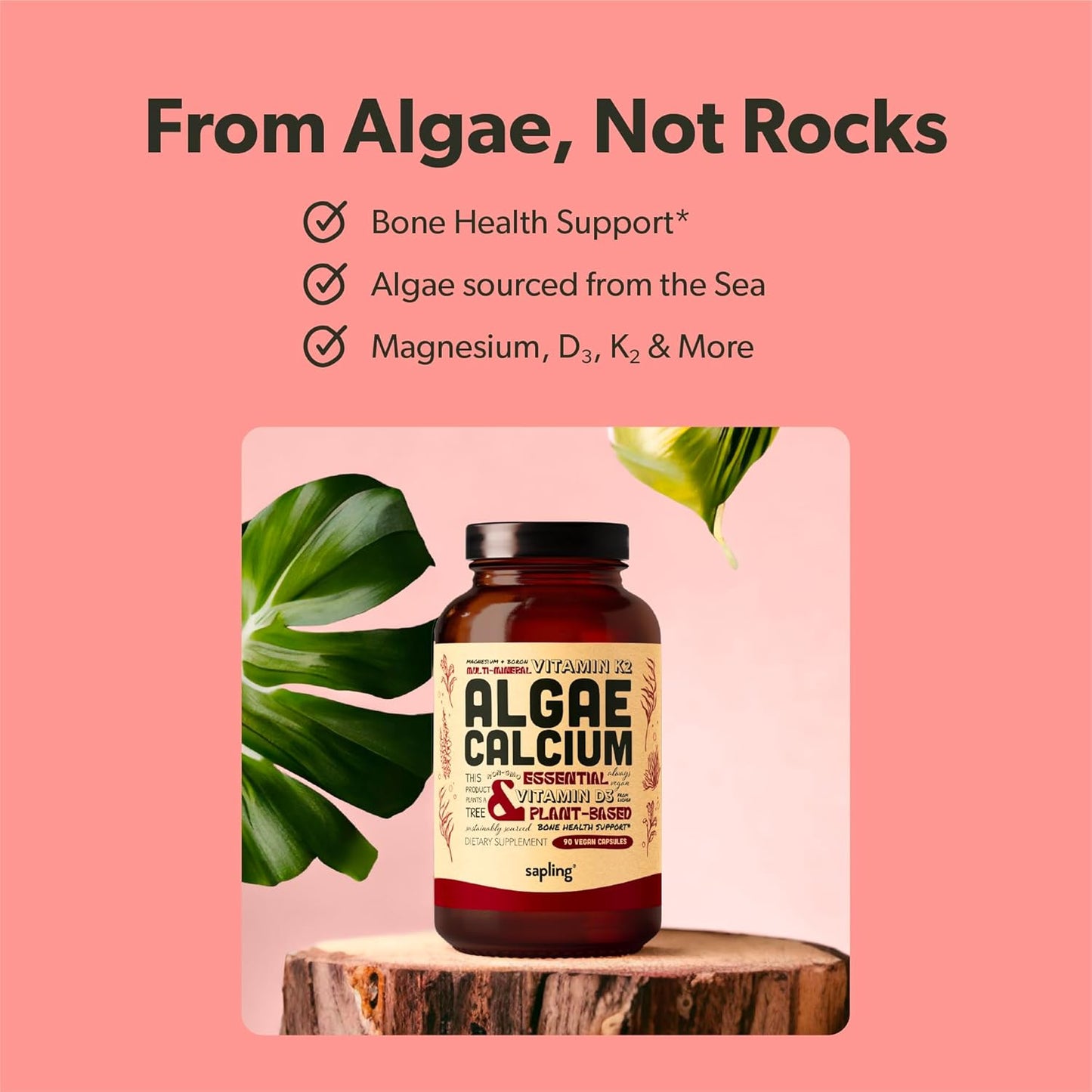 Plant-Based Vegan Omega 3 Softgels, Algae Calcium, and Vitamin B Complex Bundle - DHA & EPA, Red Algae Calcium Supplement, Essential B Vitamins