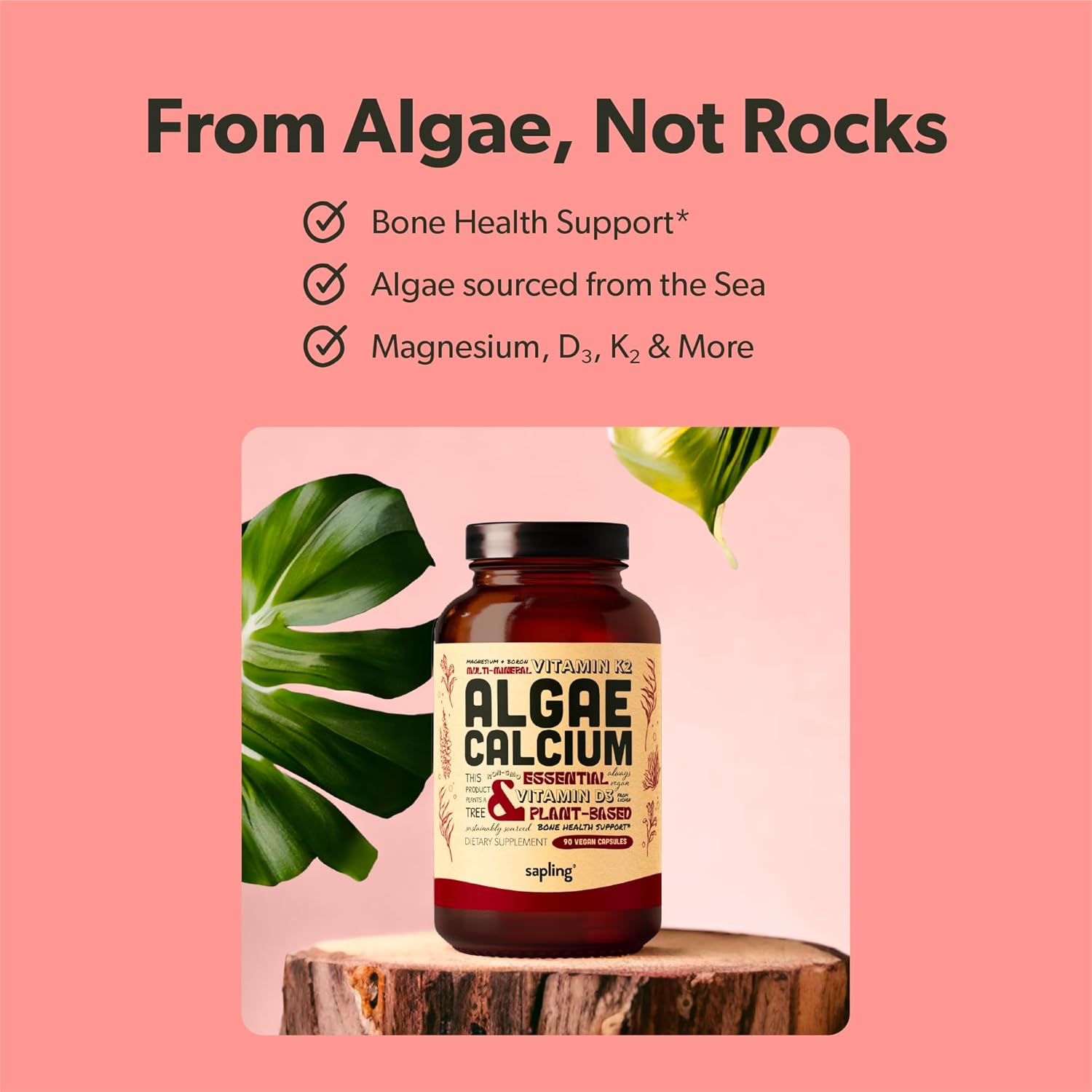 Plant-Based Vegan Omega 3 Softgels, Algae Calcium, and Vitamin B Complex Bundle - DHA & EPA, Red Algae Calcium Supplement, Essential B Vitamins