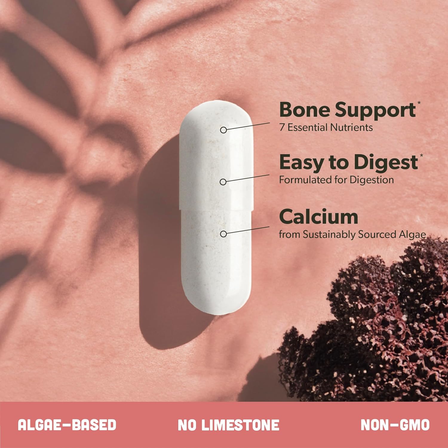 Plant-Based Vegan Omega 3 Softgels, Algae Calcium, and Vitamin B Complex Bundle - DHA & EPA, Red Algae Calcium Supplement, Essential B Vitamins