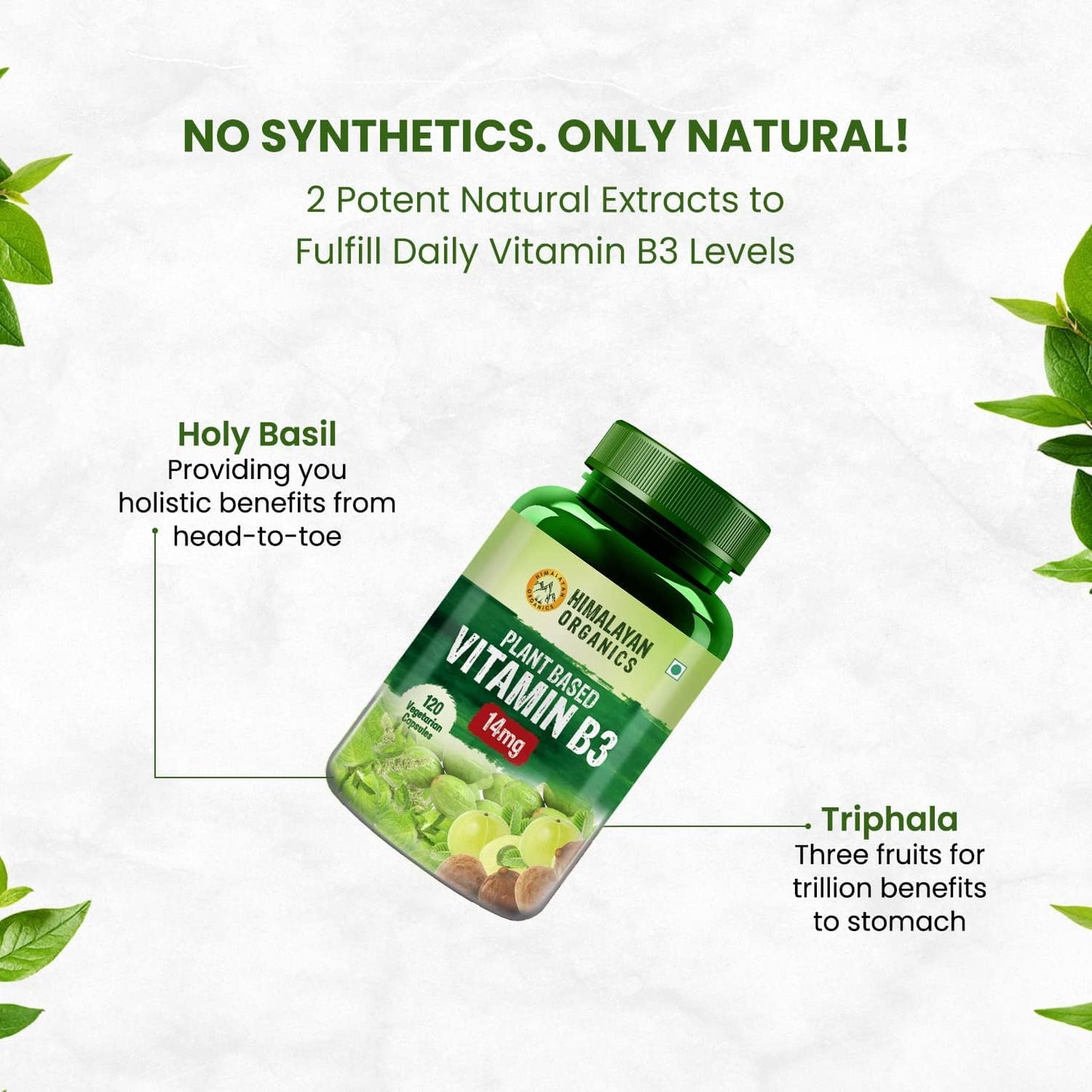 Plant-Based Vitamin B3 Supplement | Promotes Skin and Heart Health - 120 Capsules