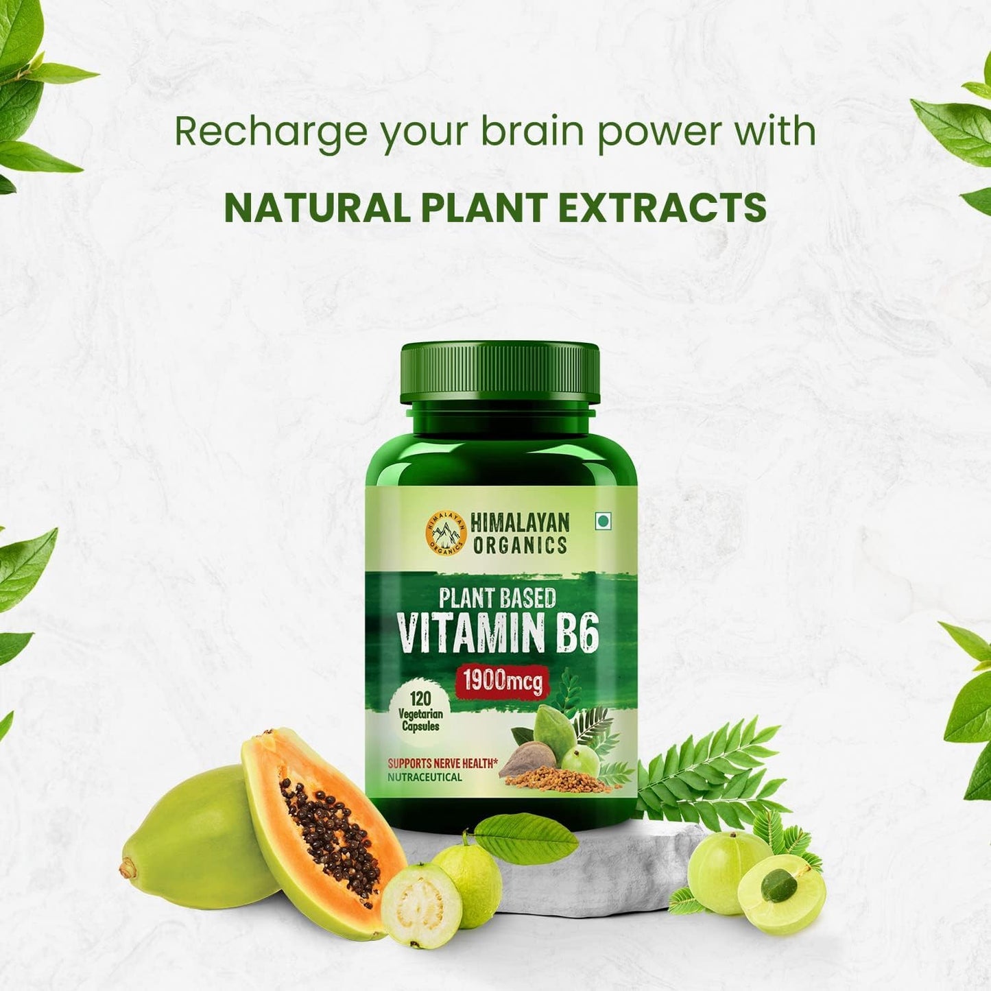 Plant-Based Vitamin B6 Capsules for Immunity & Brain Health - 120 Count