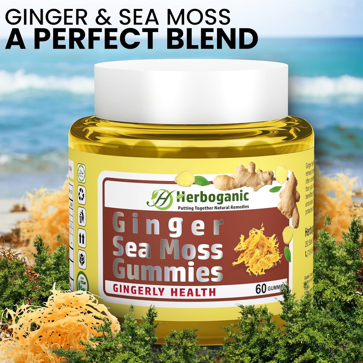 Plant-Powered HERBOGANIC Ginger Sea Moss Gummies for Immune & Digestive Health - 60 Count, Gluten-Free & Vegan-Friendly