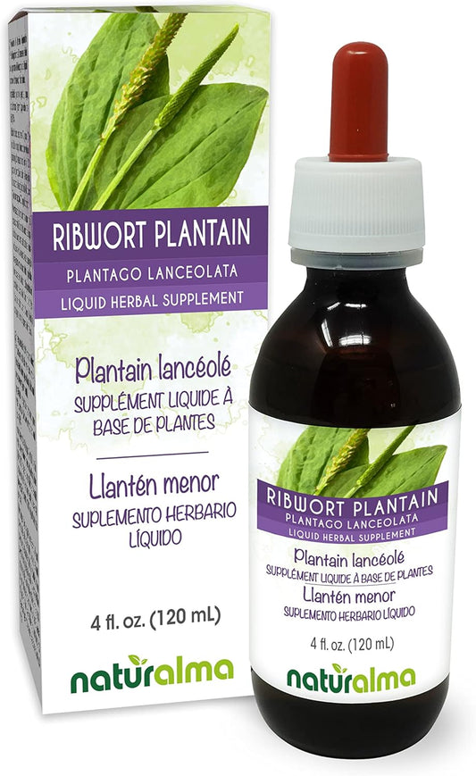 Plantago lanceolata Leaf Alcohol-Free Tincture - 4 fl oz Liquid Extract Drops - Herbal Supplement Vegan Friendly