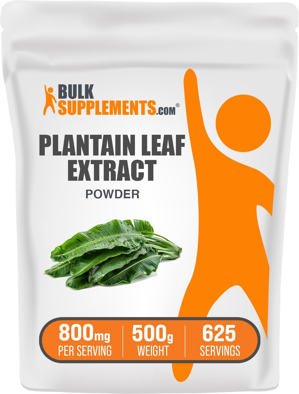 Plantain Leaf Extract Powder - Herbal Supplement, Gluten Free, 800mg per Serving - 500g (1.1 lbs) Pack