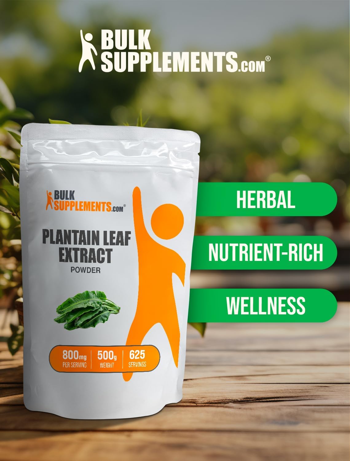 Plantain Leaf Extract Powder - Herbal Supplement, Gluten Free, 800mg per Serving - 500g (1.1 lbs) Pack