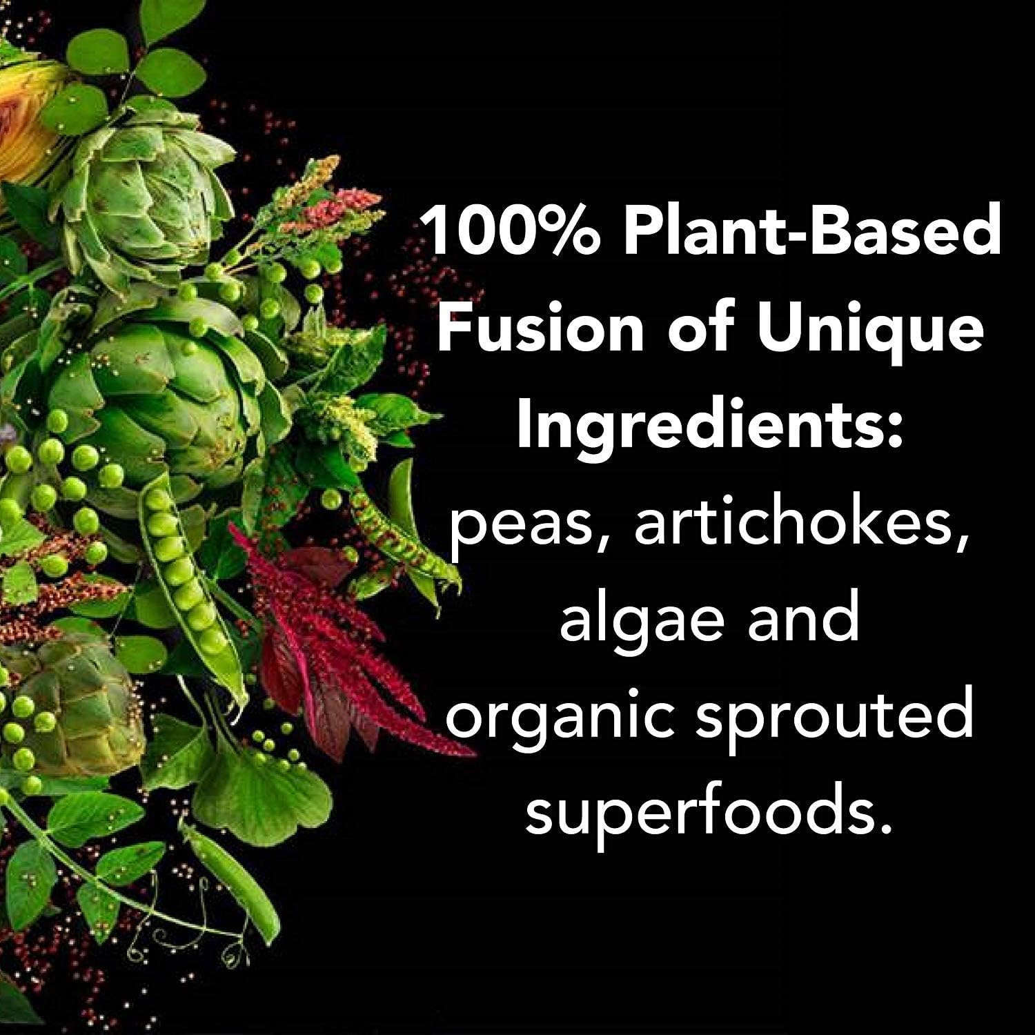 PlantFusion Pea Protein Powder Bundle - Vegan, Non-GMO, Dairy Free, Gluten Free, Soy Free - Vanilla Bean & Chocolate Flavor - 2 lbs with Digestive Enzymes