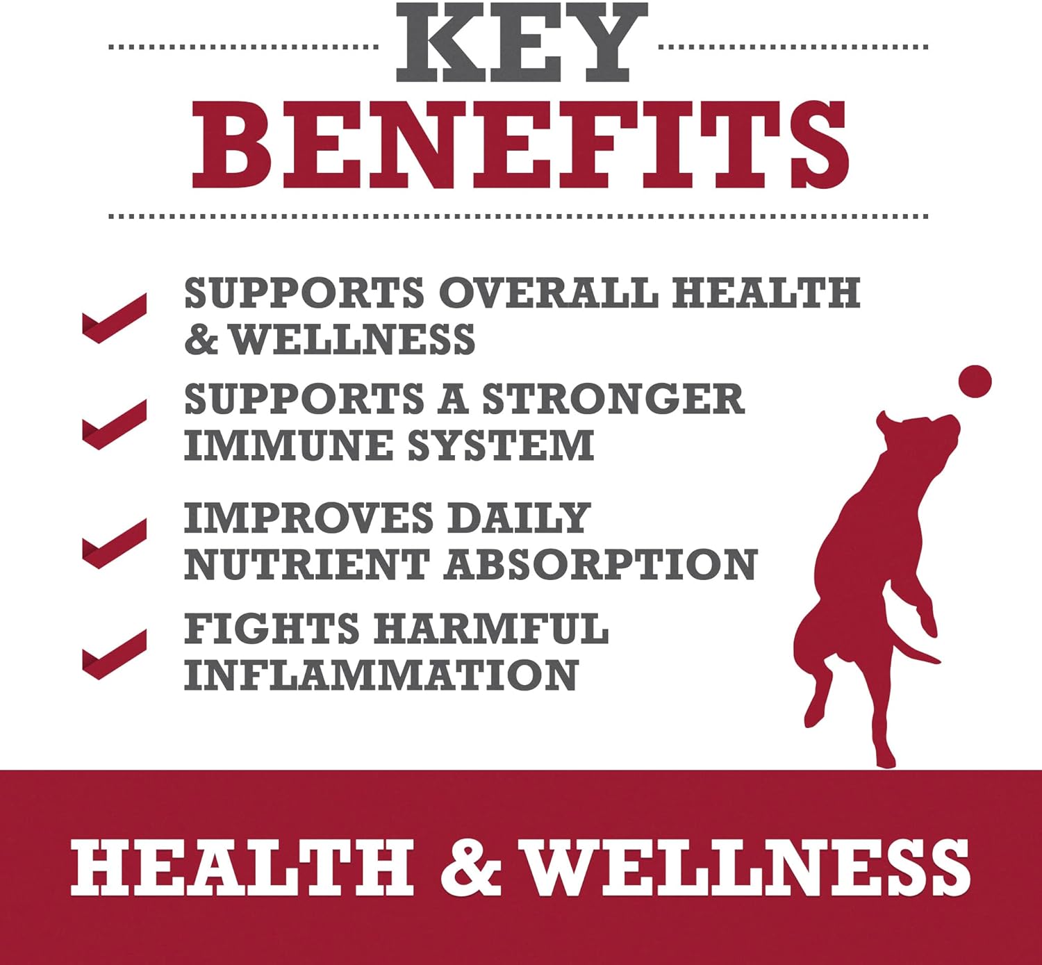 Plasma Powered Health Chews for Small Dogs, 60 Soft Chews, Grain Free Supplement for Vitality and Immunity