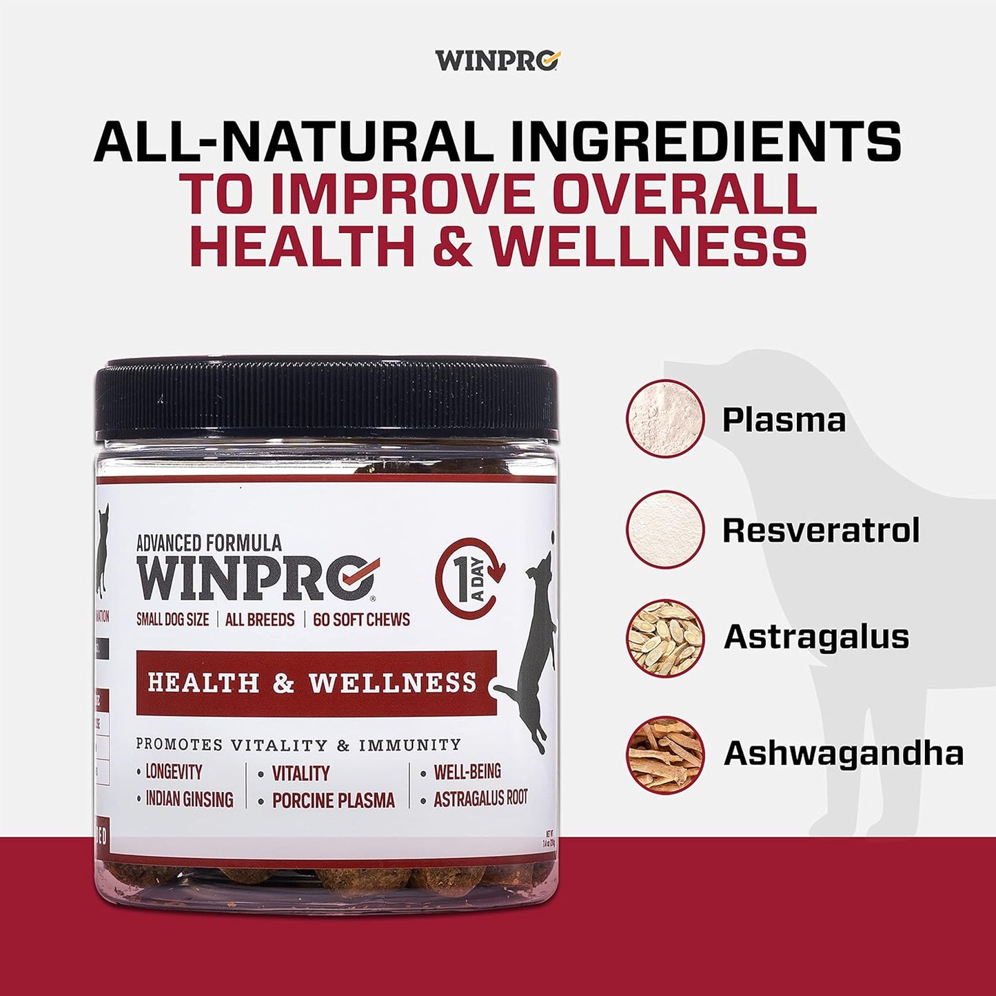 Plasma Powered Health Chews for Small Dogs, 60 Soft Chews, Grain Free Supplement for Vitality and Immunity