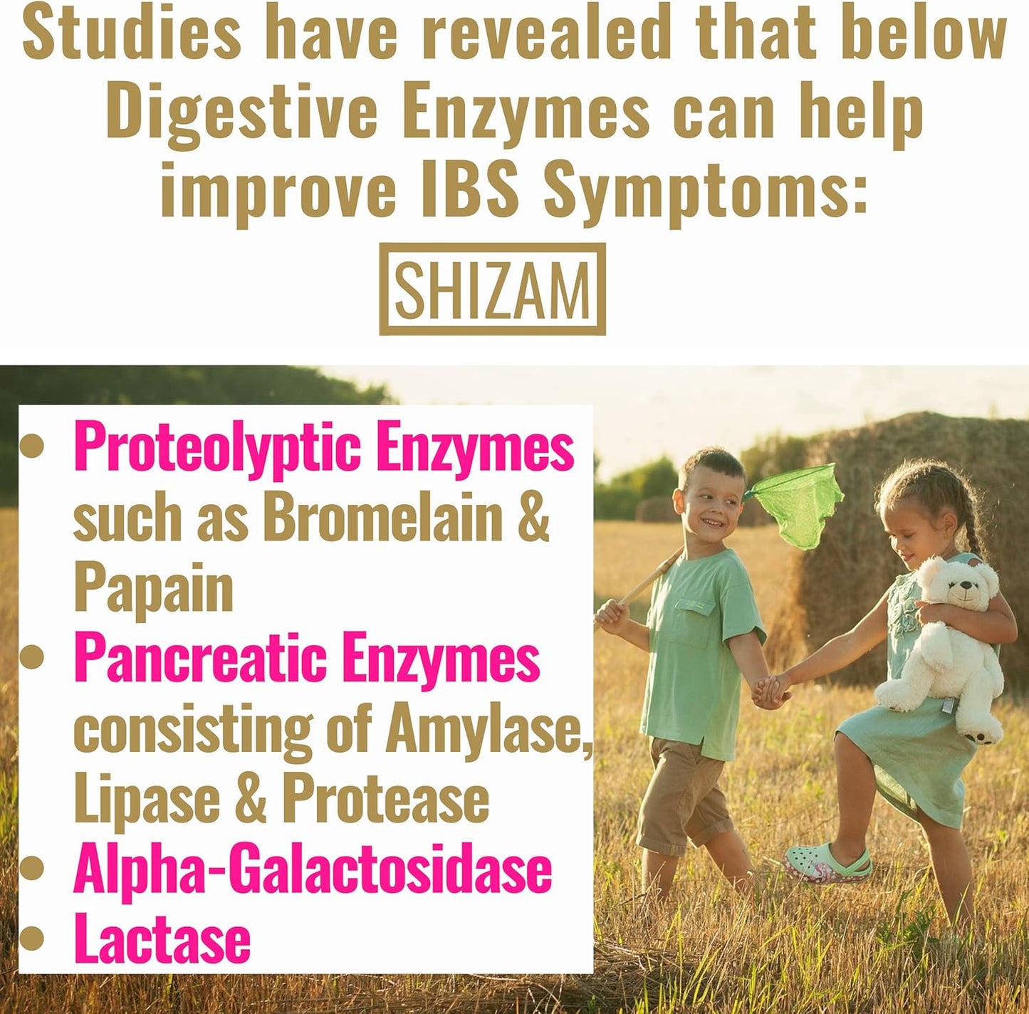 Postbiotic Digestive Enzymes for IBS Relief - Lactose, Alpha-Galactosidase, Pancreatic Amylase, Lipase, Protease, Cellulase, Bromelain, Papain Capsules for Diarrhea, Constipation, Bloating - Supplement