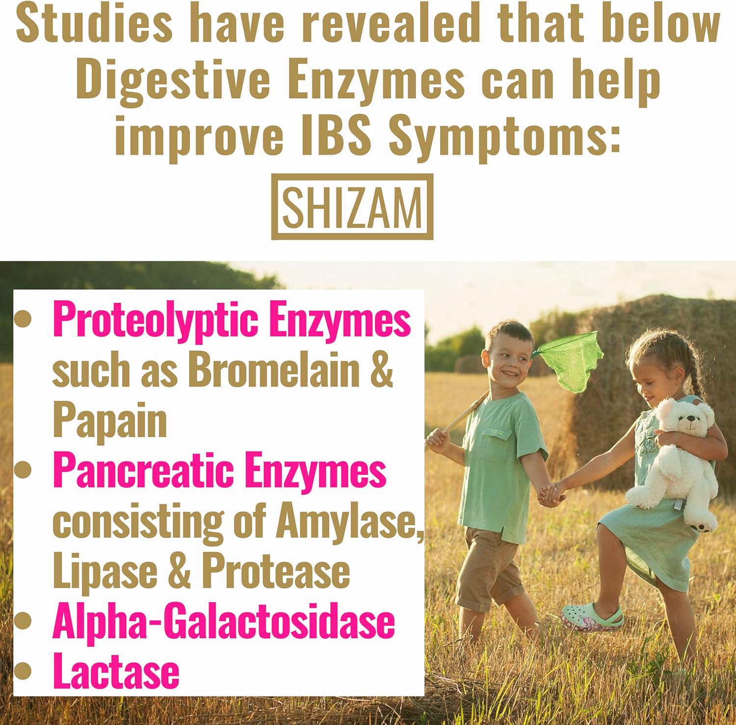 Postbiotic Digestive Enzymes for IBS Relief - Lactose, Alpha-Galactosidase, Pancreatic Amylase, Lipase, Protease, Cellulase, Bromelain, Papain Capsules for Diarrhea, Constipation, Bloating - Supplement