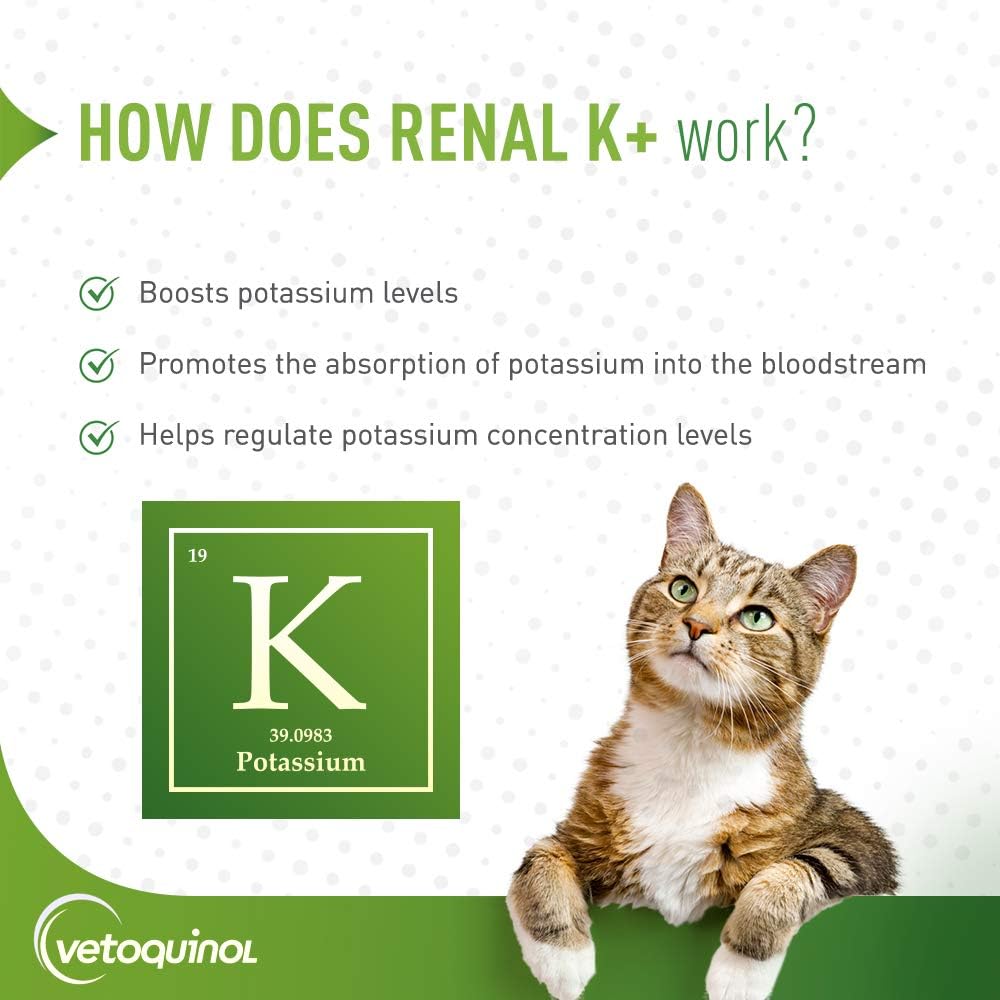 Potassium Gluconate Powder for Dogs and Cats - Vetoquinol Renal K+ Supplement 3.5oz - BoostGo Australia