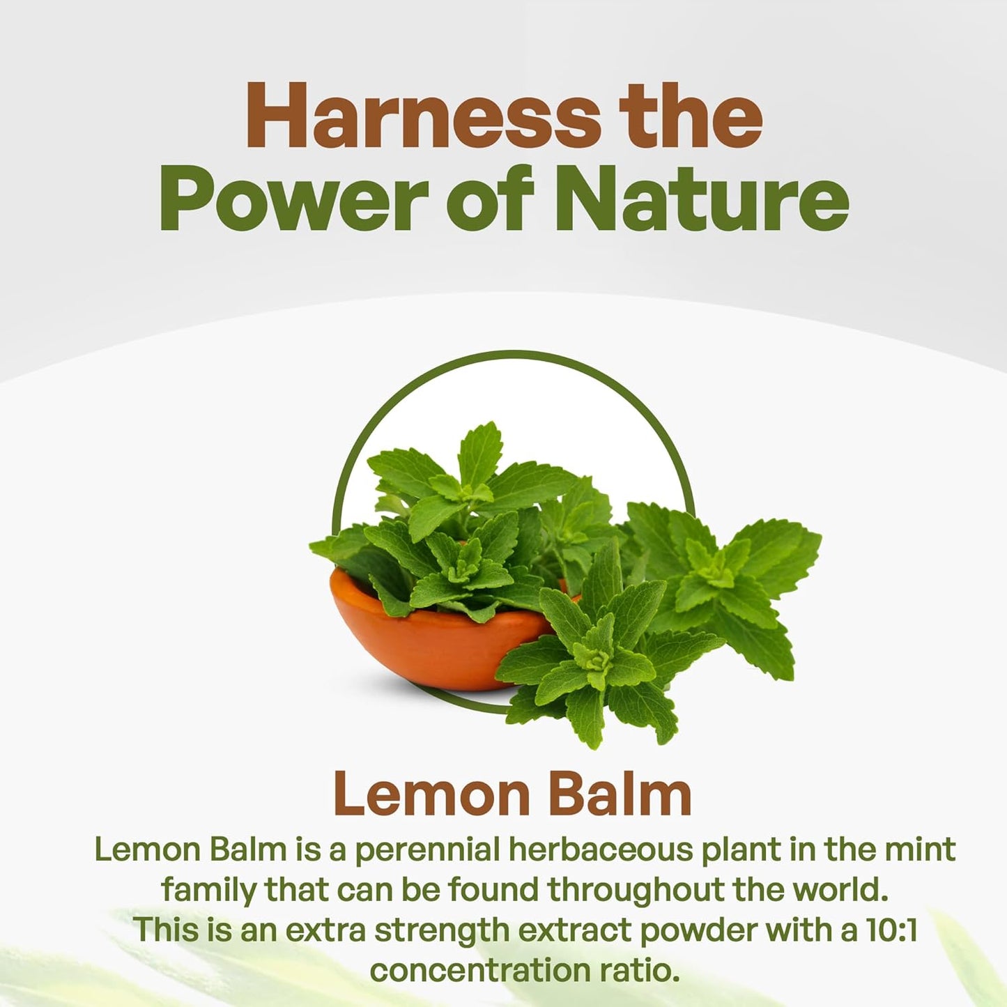 Potent Lemon Balm Extract Powder 10:1 Strength - Melissa Herbal Supplement 8 oz by Go Nutra