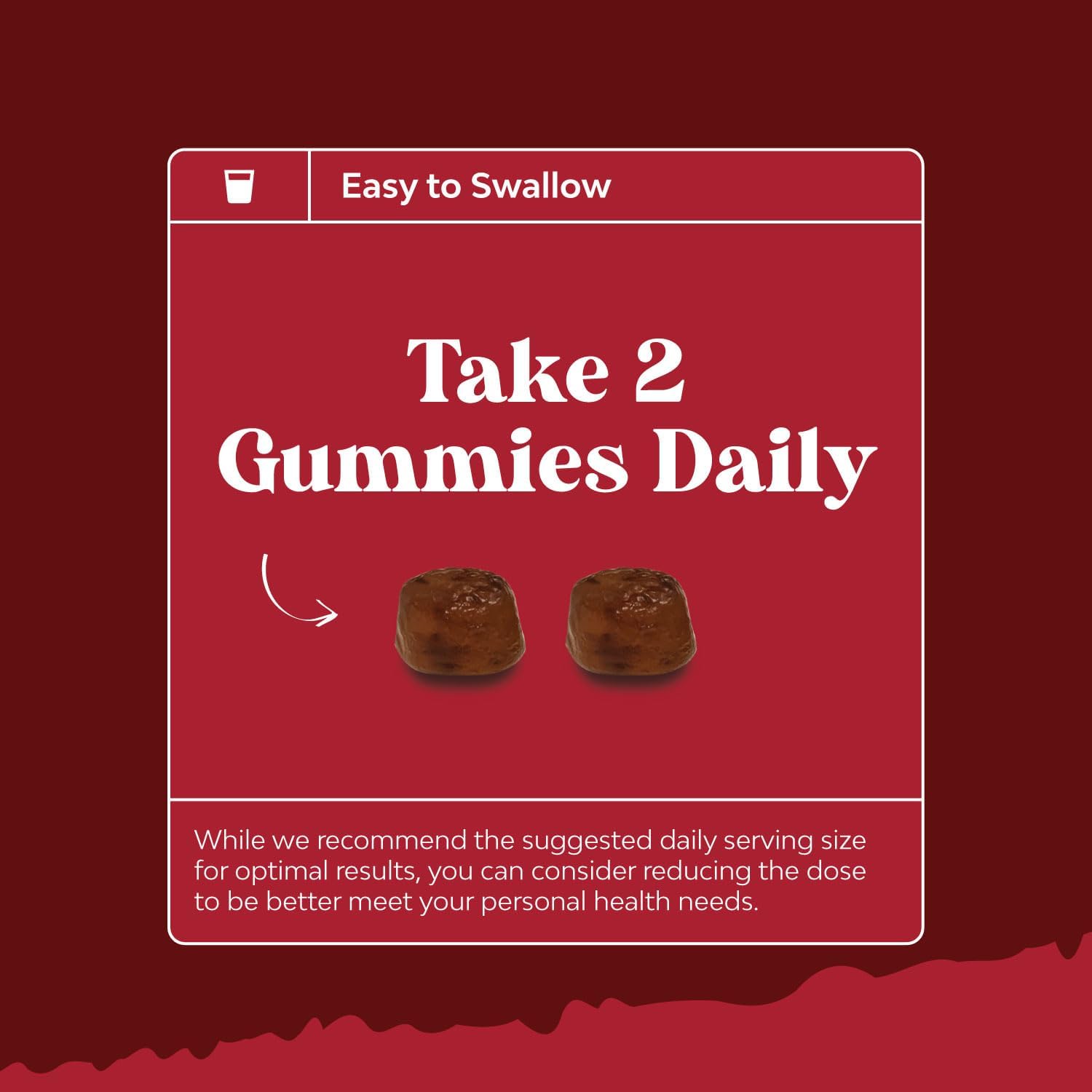 Potent Multivitamin & Cranberry Gummies Bundle for Adults - Vitamin D A C E B12 Zinc Biotin - Wellness Antioxidant for Women and Men
