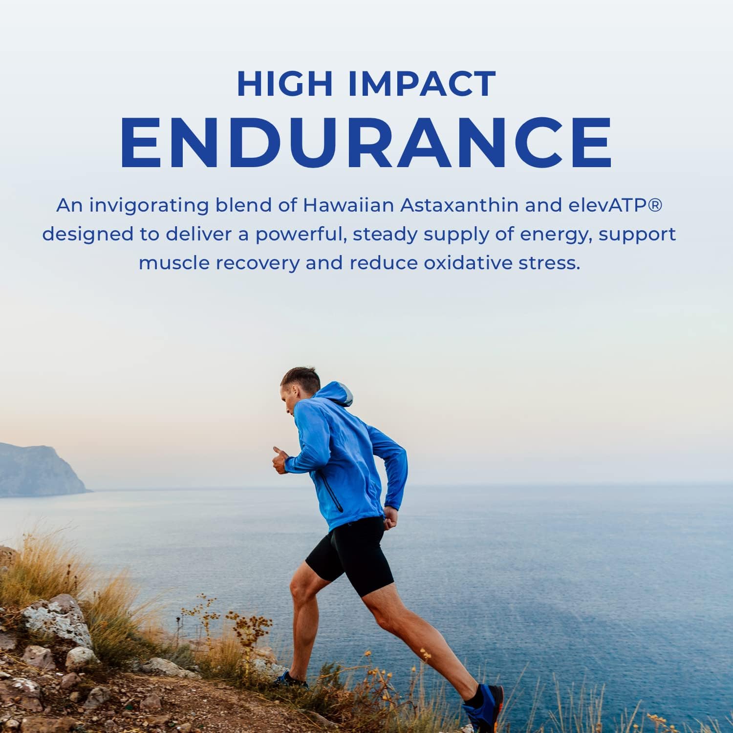 POWERLIFE Tony Horton Chocolate Plant Protein with 3000 MG of HMB - New Formula, High Impact Endurance Formula, Non-GMO, No Added Sugar