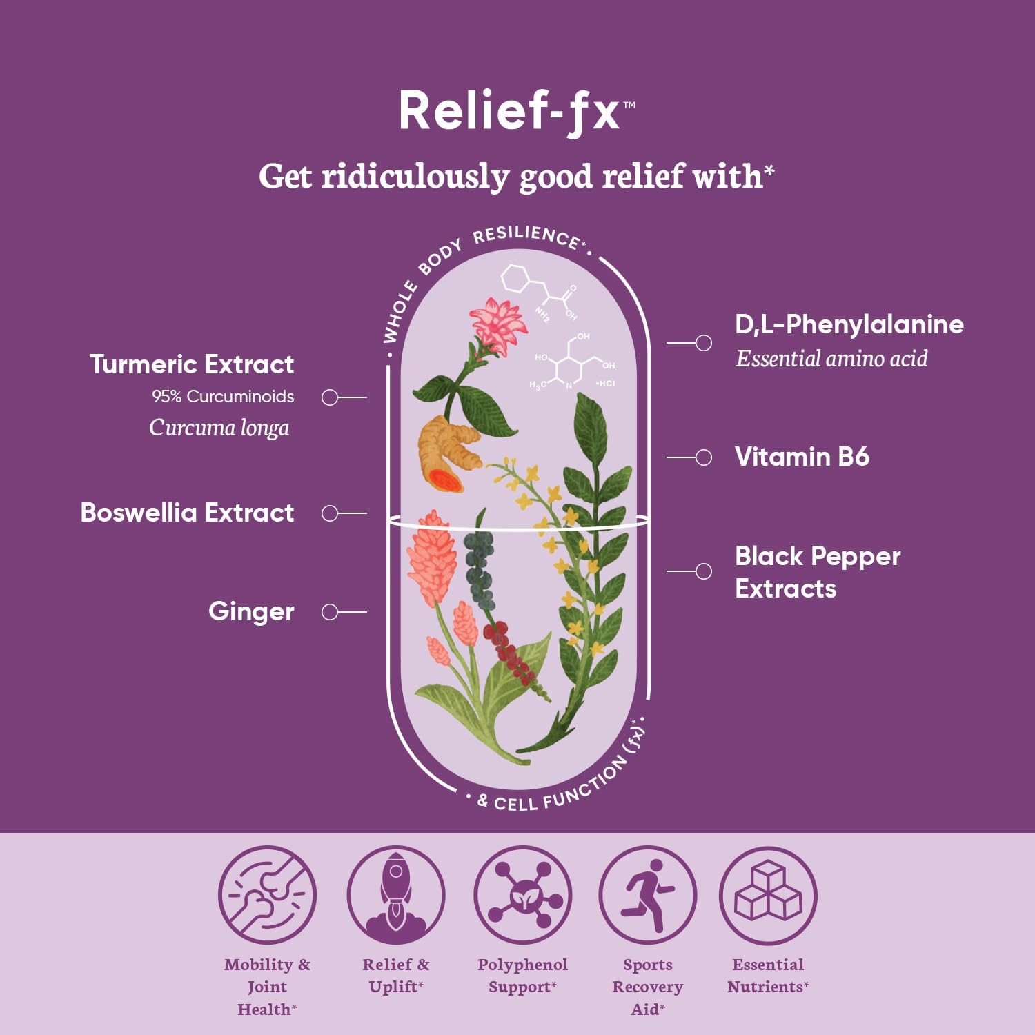PPO Lab BioAssist Immune FX, Relief FX, and Brain FX Starter Kit - Boost Your Immune System, Relieve Pain, and Enhance Brain Function