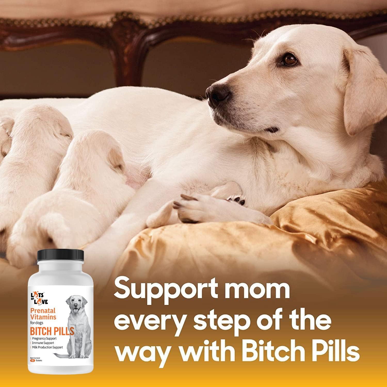 Pregnant Dog Prenatal Vitamins - 45 Tablets by Lots of Love Pet Products