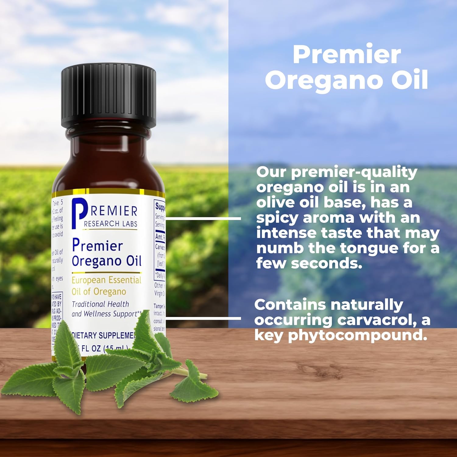 Premier Research Labs Oregano Oil Drops - Carvacrol Infused Essential Oil for Immune & Gut Health - 0.5 Fl Oz