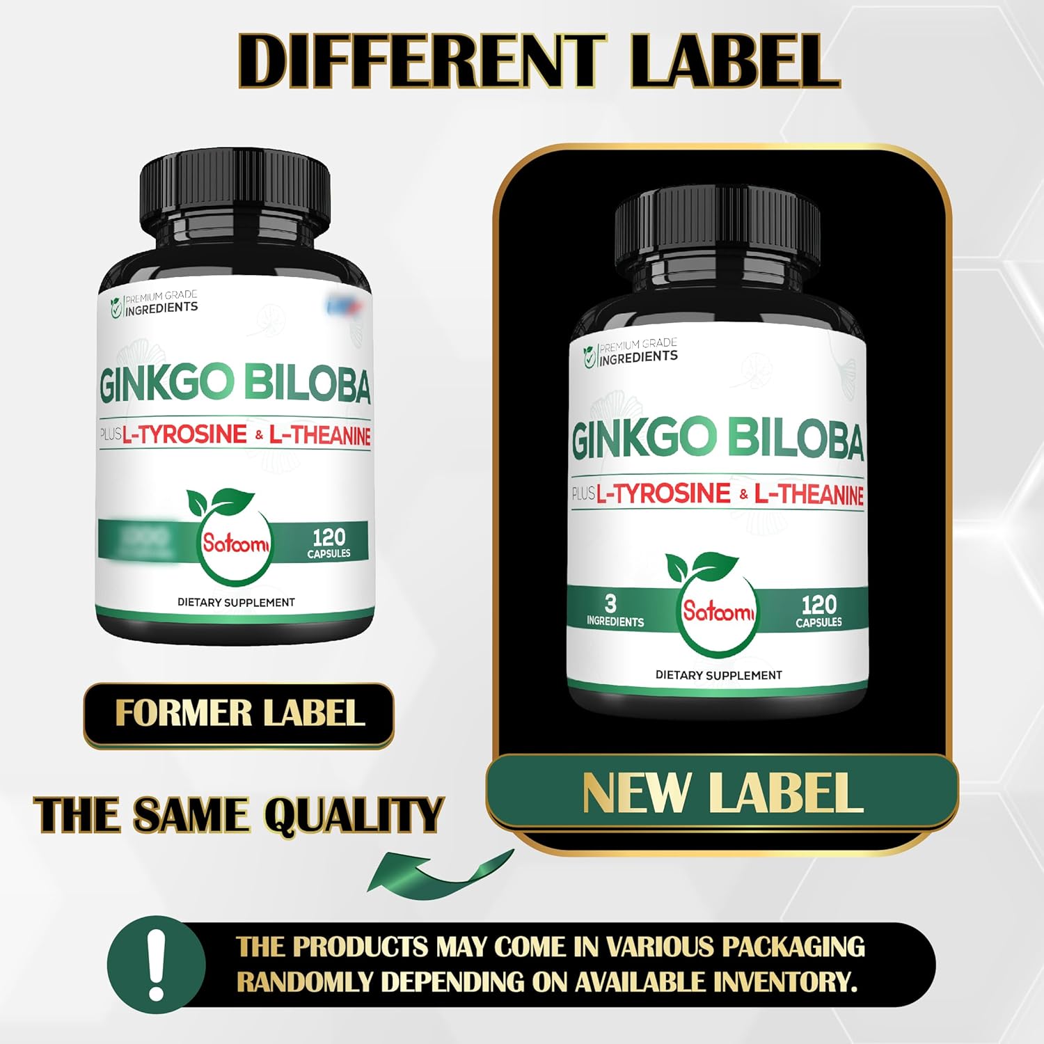 Premium 1000mg Ginkgo Biloba Capsules with L-Tyrosine and L-Theanine - 2-Month Supply for Focus, Memory, Brain Health, and Vision - Satoomi Supplement