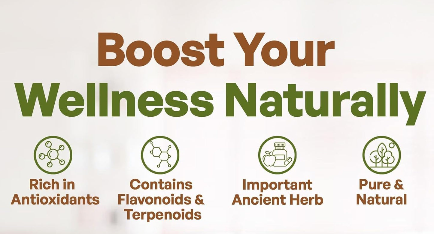 Premium 10:1 Ginkgo Biloba Extract Powder - Extra Strength Leaf Supplement - 8 oz Non-GMO Pure Herbal Formula