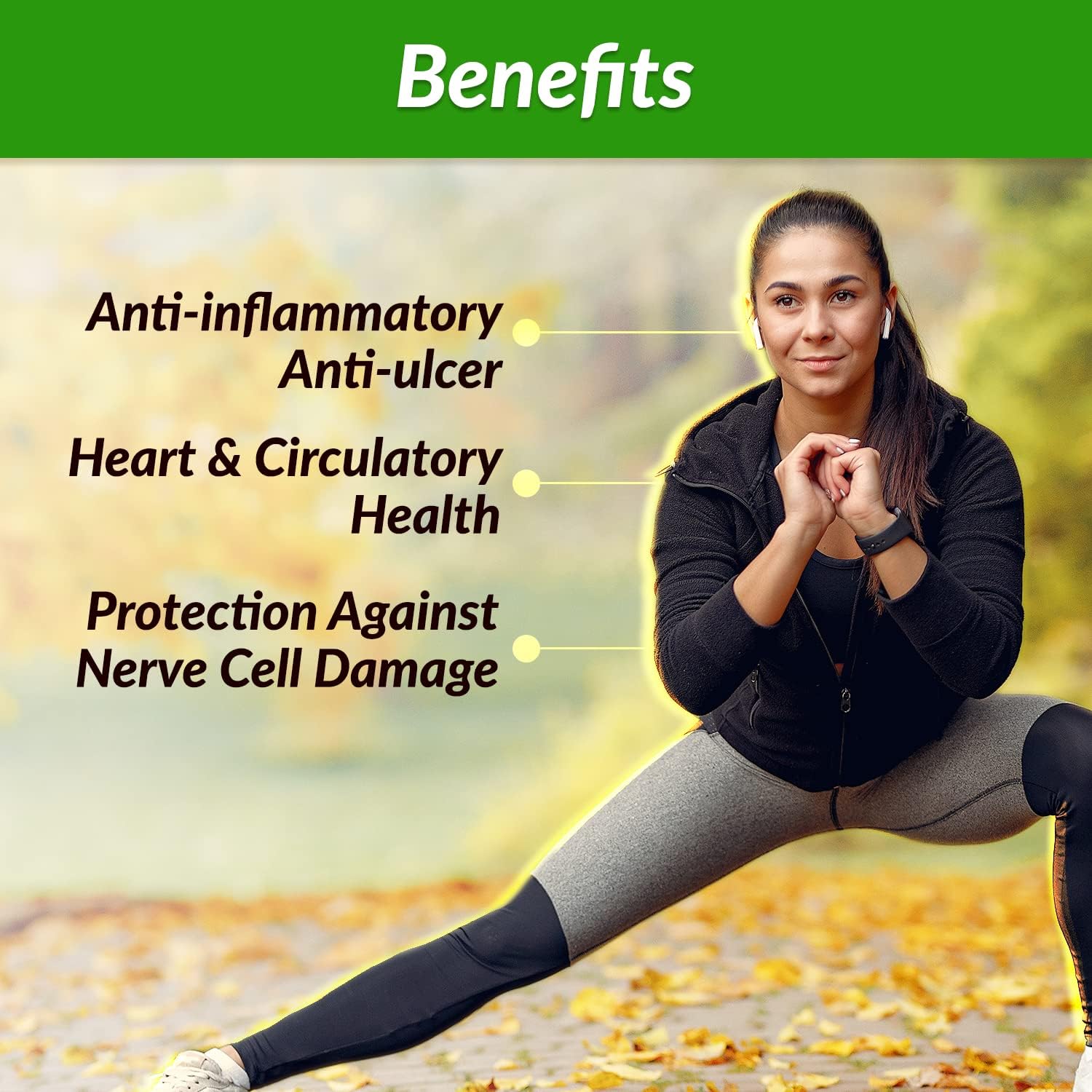 Premium AFC Japan Brazilian Green Propolis Extract with High Artepilin C and Flavonoids for Immune Boosting Tincture