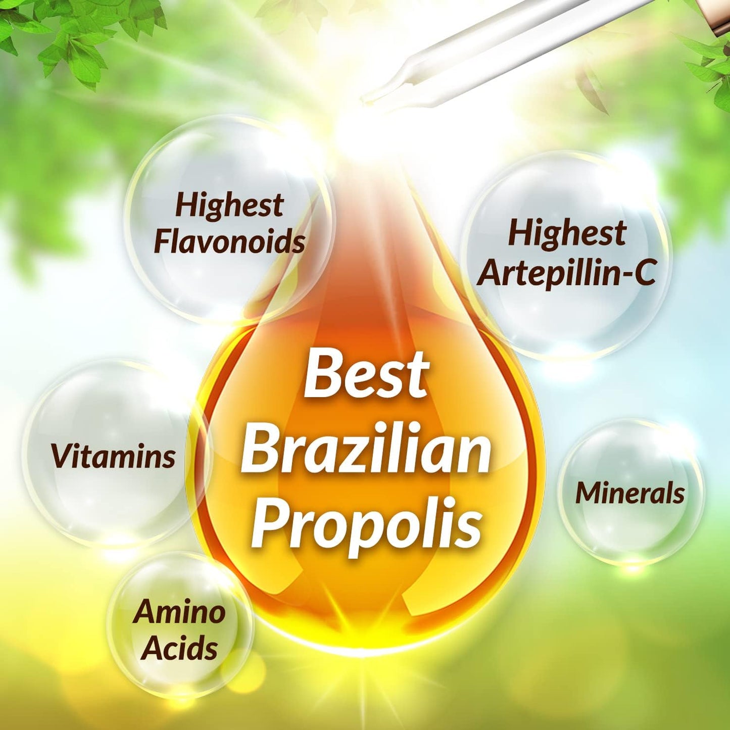 Premium AFC Japan Brazilian Green Propolis Extract with High Artepilin C and Flavonoids for Immune Boosting Tincture